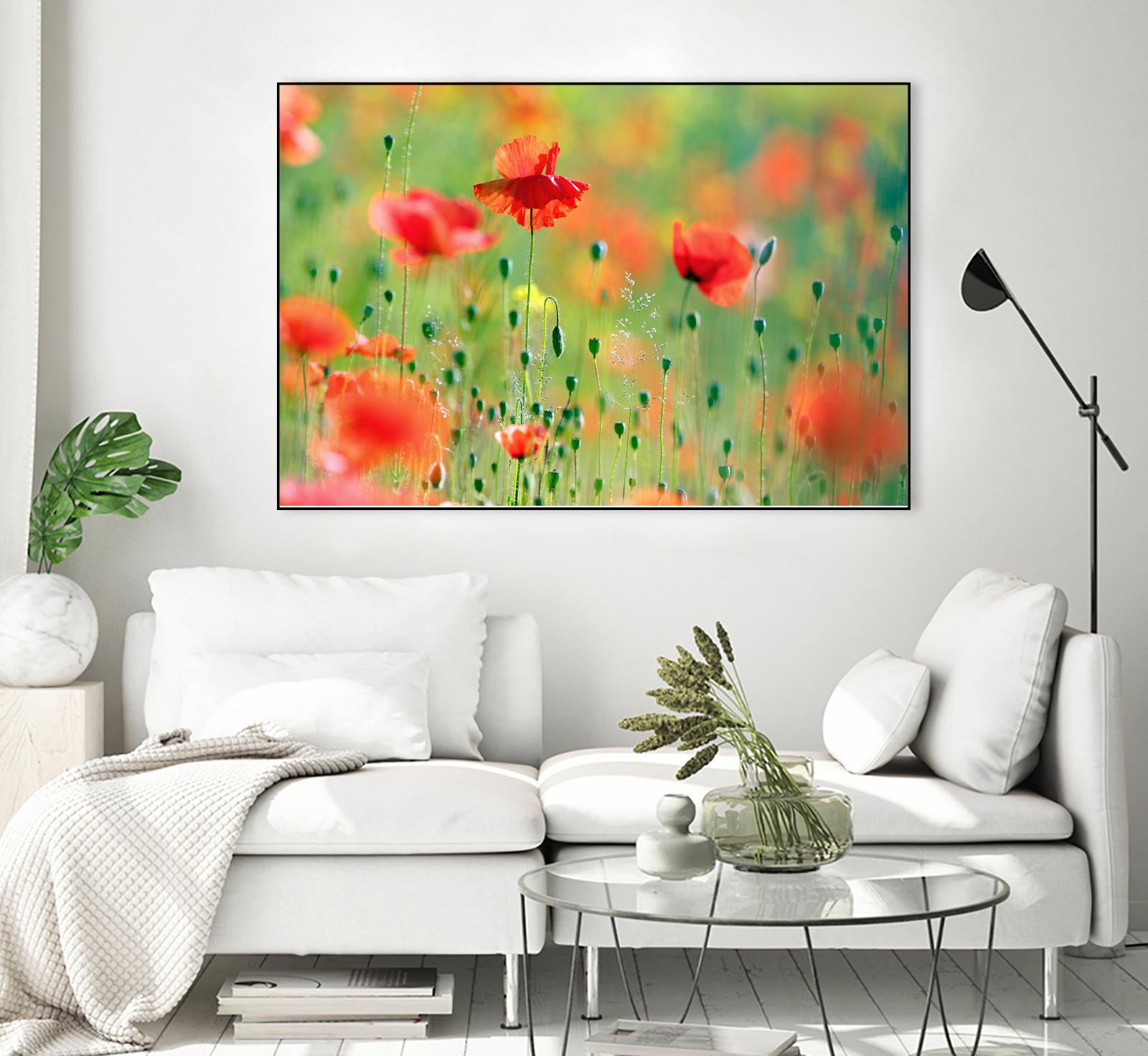 United Colors of Summer by Roeselien Raimond on GIANT ART - multicolor photography; floral/still life; landscapes