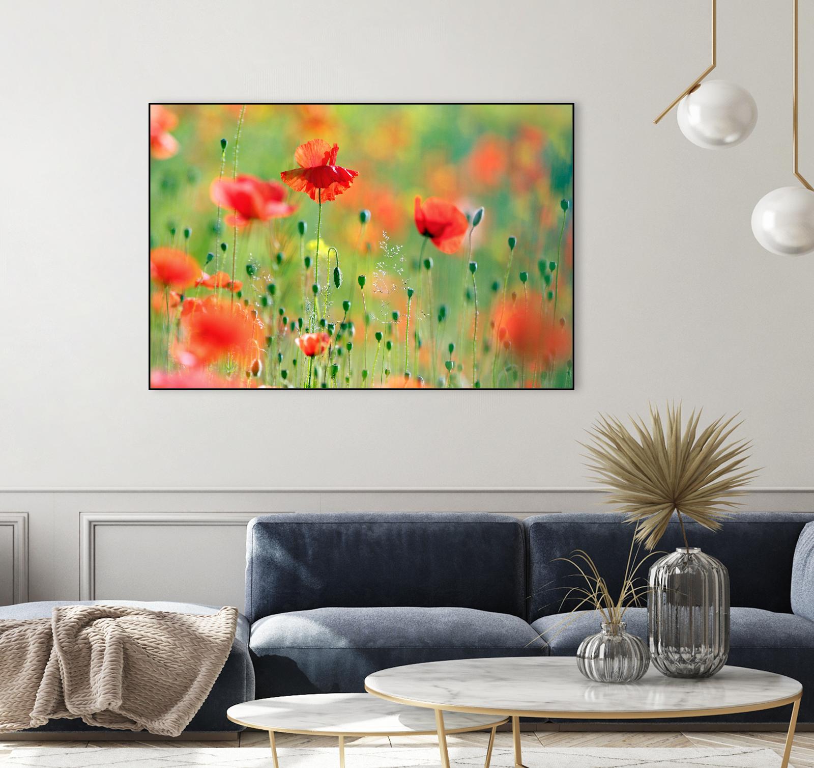 United Colors of Summer by Roeselien Raimond on GIANT ART - multicolor photography; floral/still life; landscapes