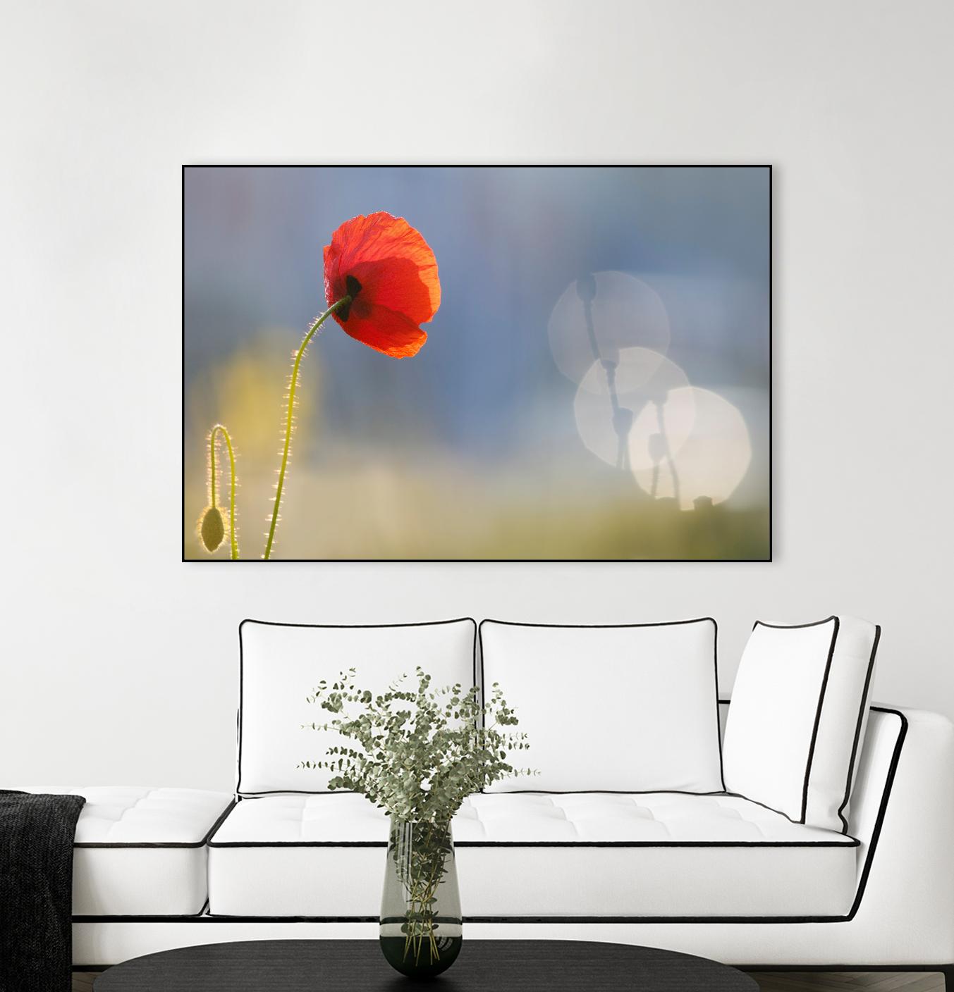 Echoes by Roeselien Raimond on GIANT ART - multicolor photography; floral/still life; landscapes