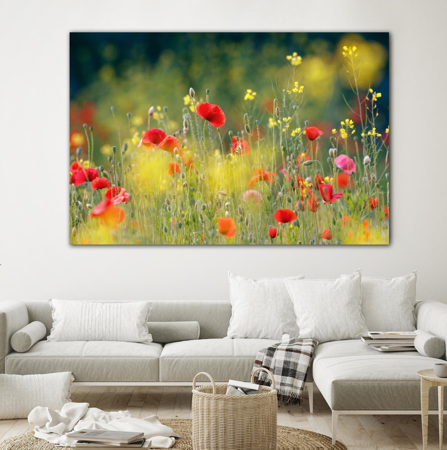 Just a Perfect Day by Roeselien Raimond on GIANT ART - multicolor photography; floral/still life; landscapes