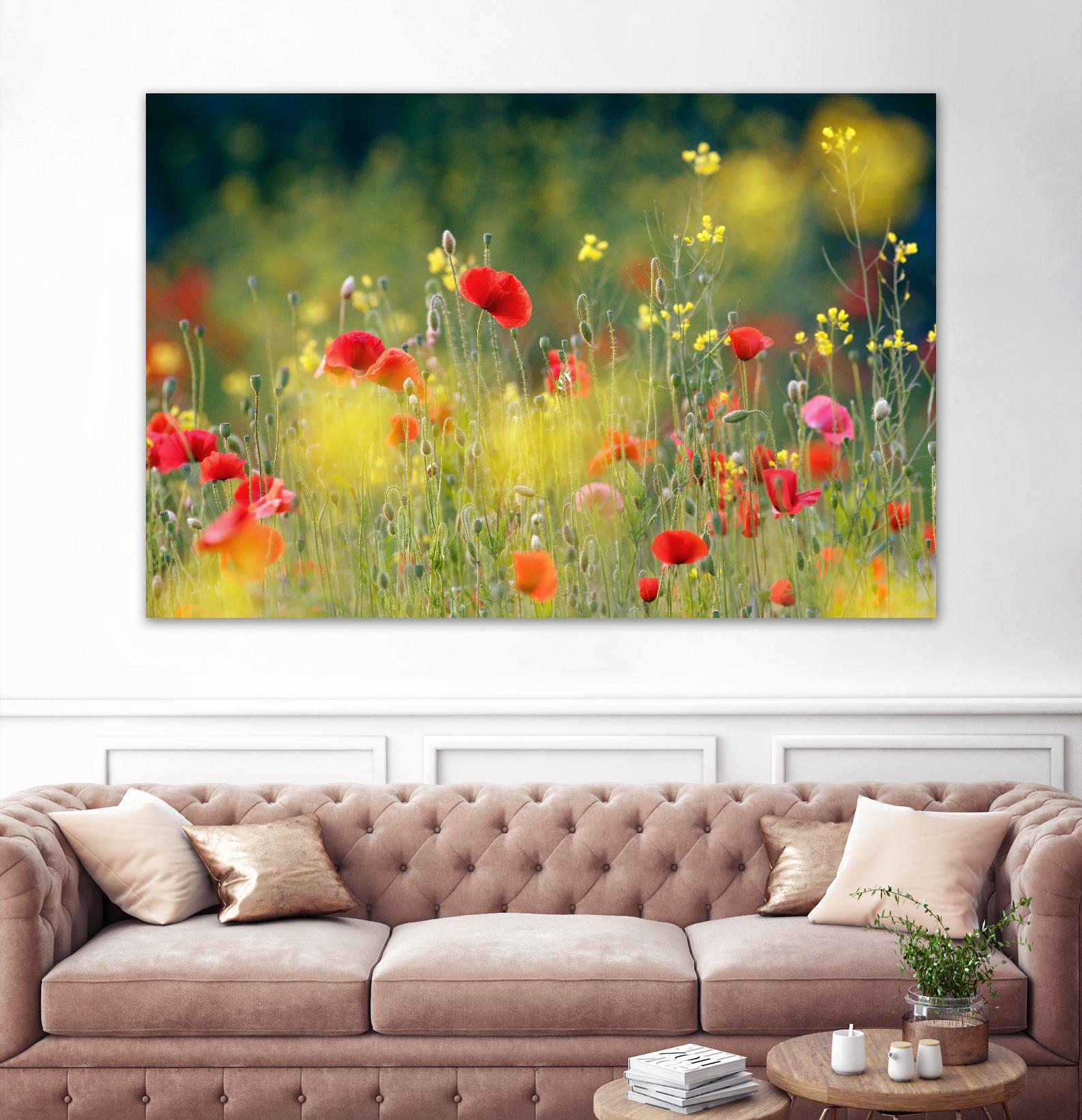 Just a Perfect Day by Roeselien Raimond on GIANT ART - multicolor photography; floral/still life; landscapes