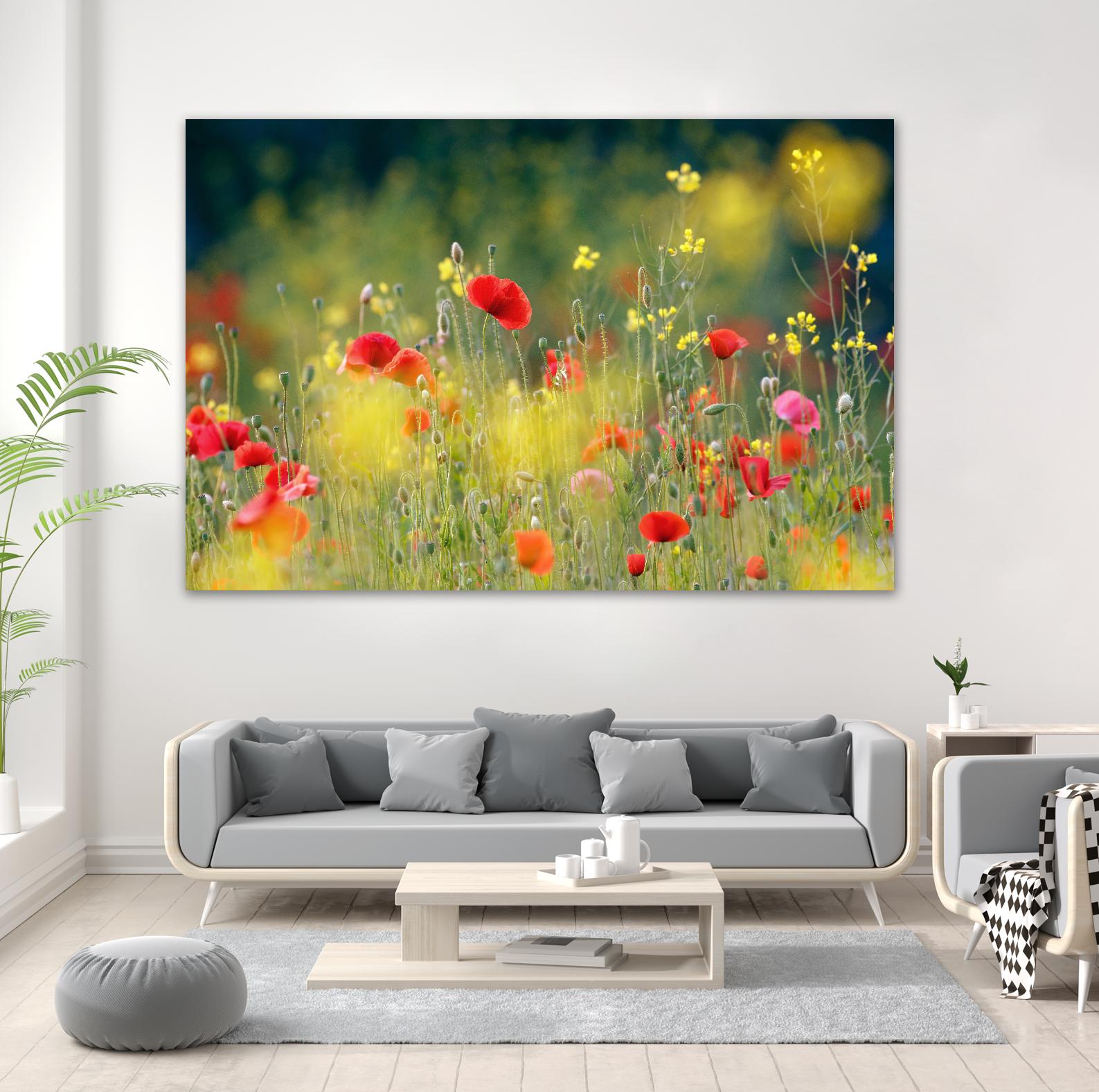 Just a Perfect Day by Roeselien Raimond on GIANT ART - multicolor photography; floral/still life; landscapes