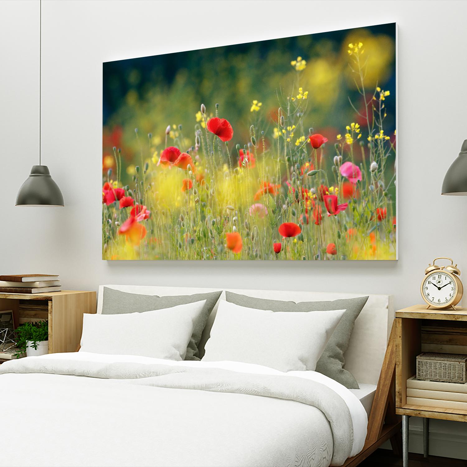 Just a Perfect Day by Roeselien Raimond on GIANT ART - multicolor photography; floral/still life; landscapes