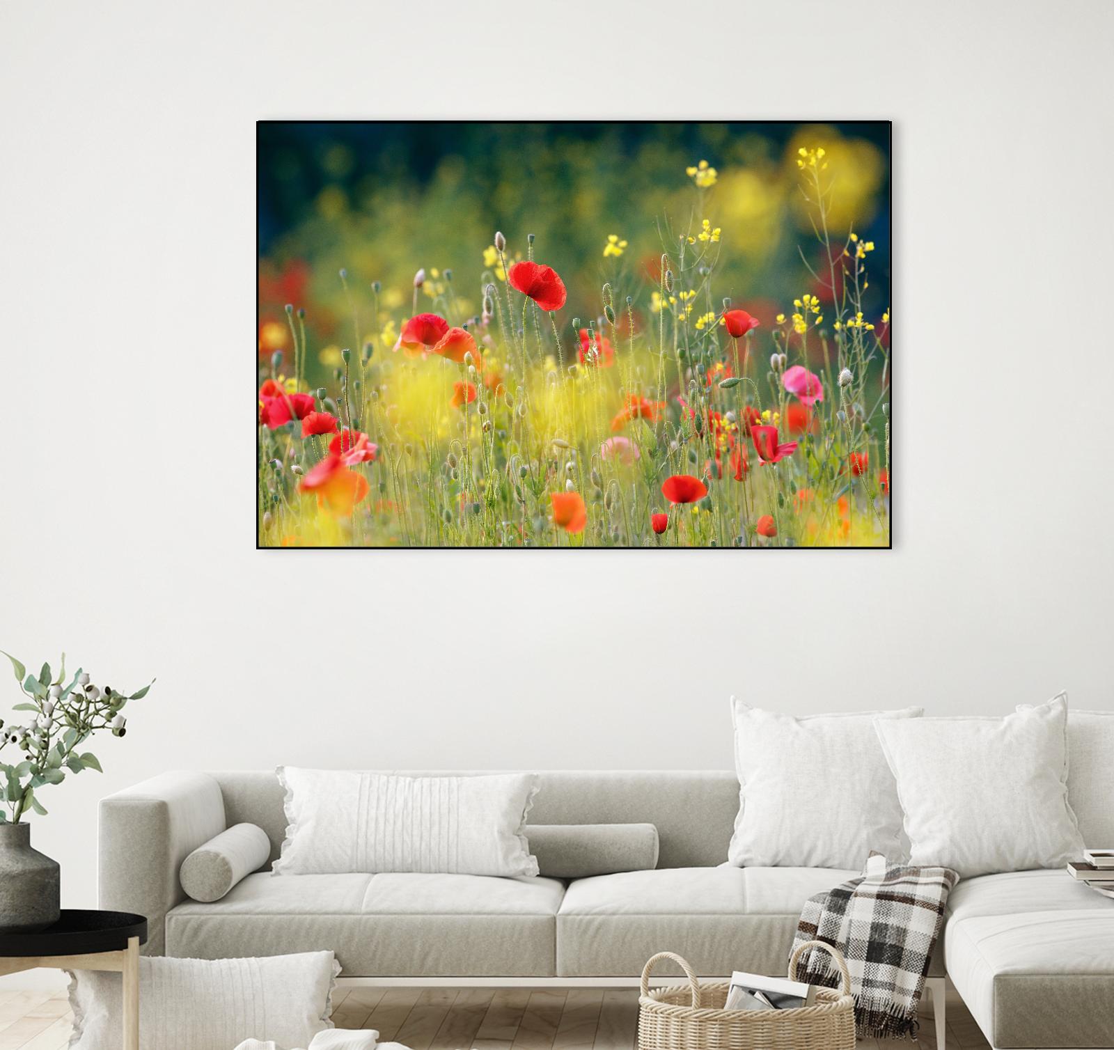 Just a Perfect Day by Roeselien Raimond on GIANT ART - multicolor photography; floral/still life; landscapes