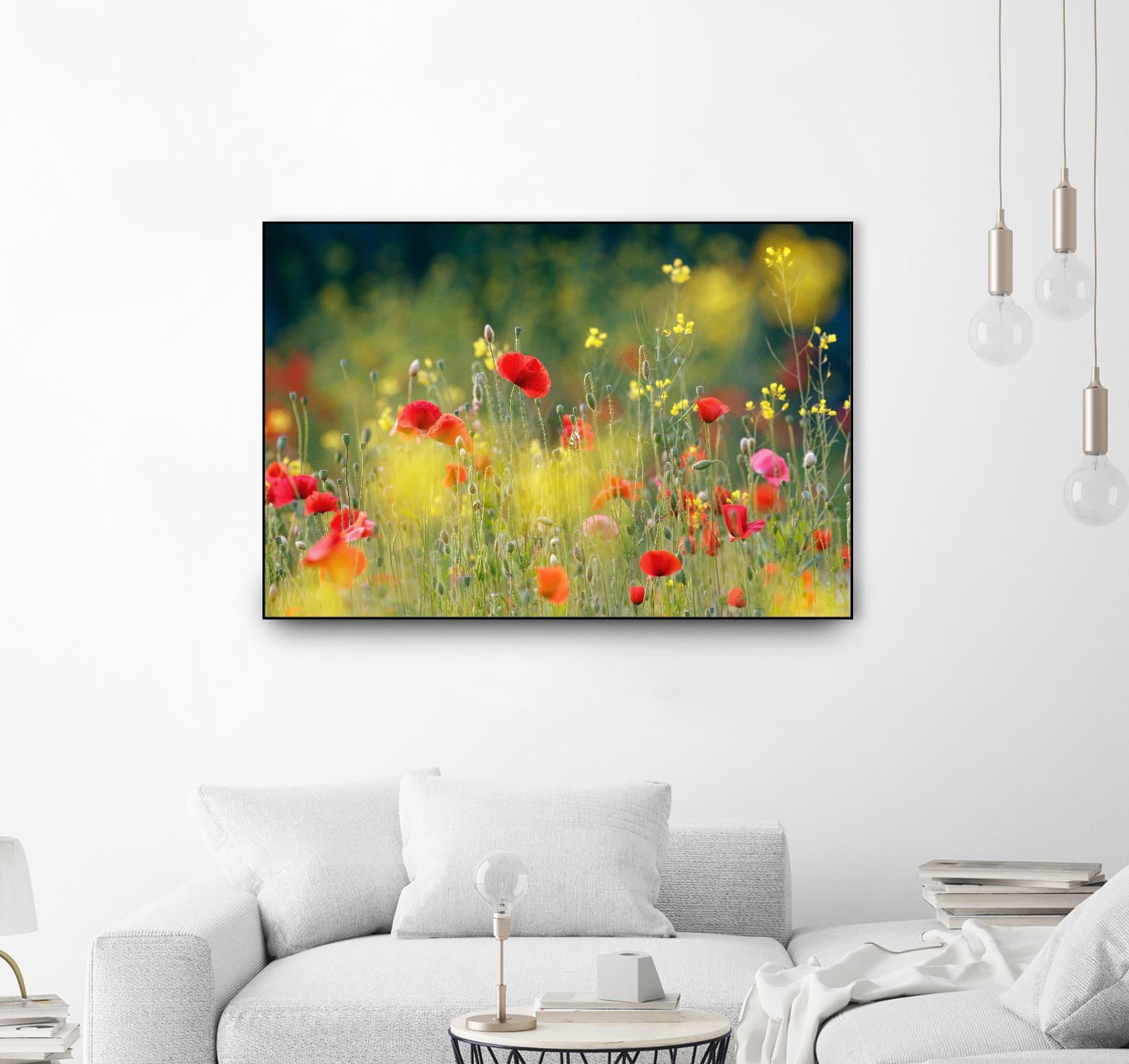 Just a Perfect Day by Roeselien Raimond on GIANT ART - multicolor photography; floral/still life; landscapes