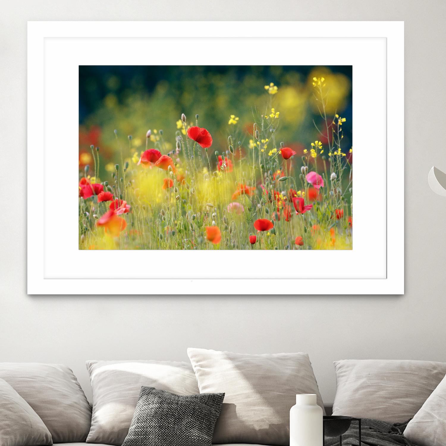 Just a Perfect Day by Roeselien Raimond on GIANT ART - multicolor photography; floral/still life; landscapes