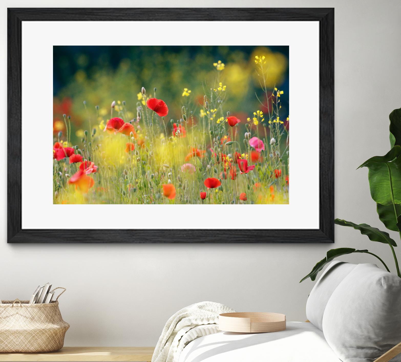 Just a Perfect Day by Roeselien Raimond on GIANT ART - multicolor photography; floral/still life; landscapes