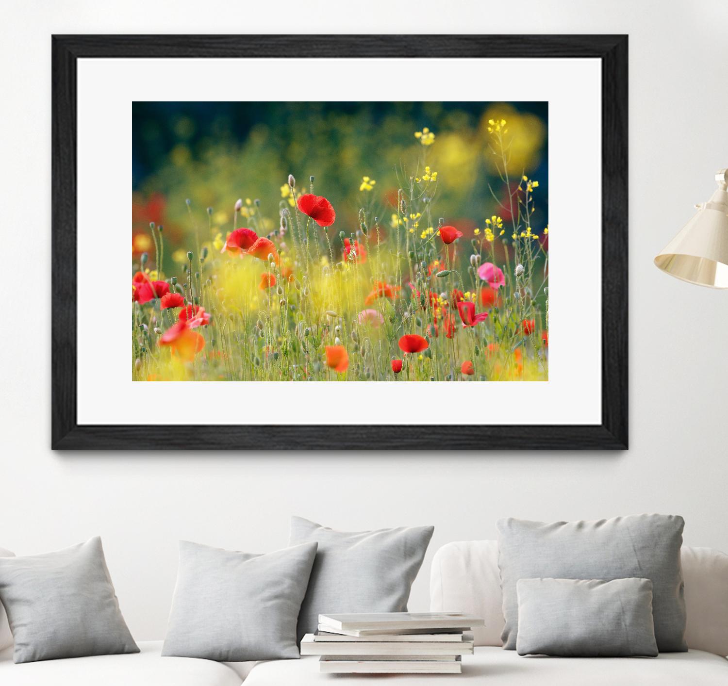 Just a Perfect Day by Roeselien Raimond on GIANT ART - multicolor photography; floral/still life; landscapes