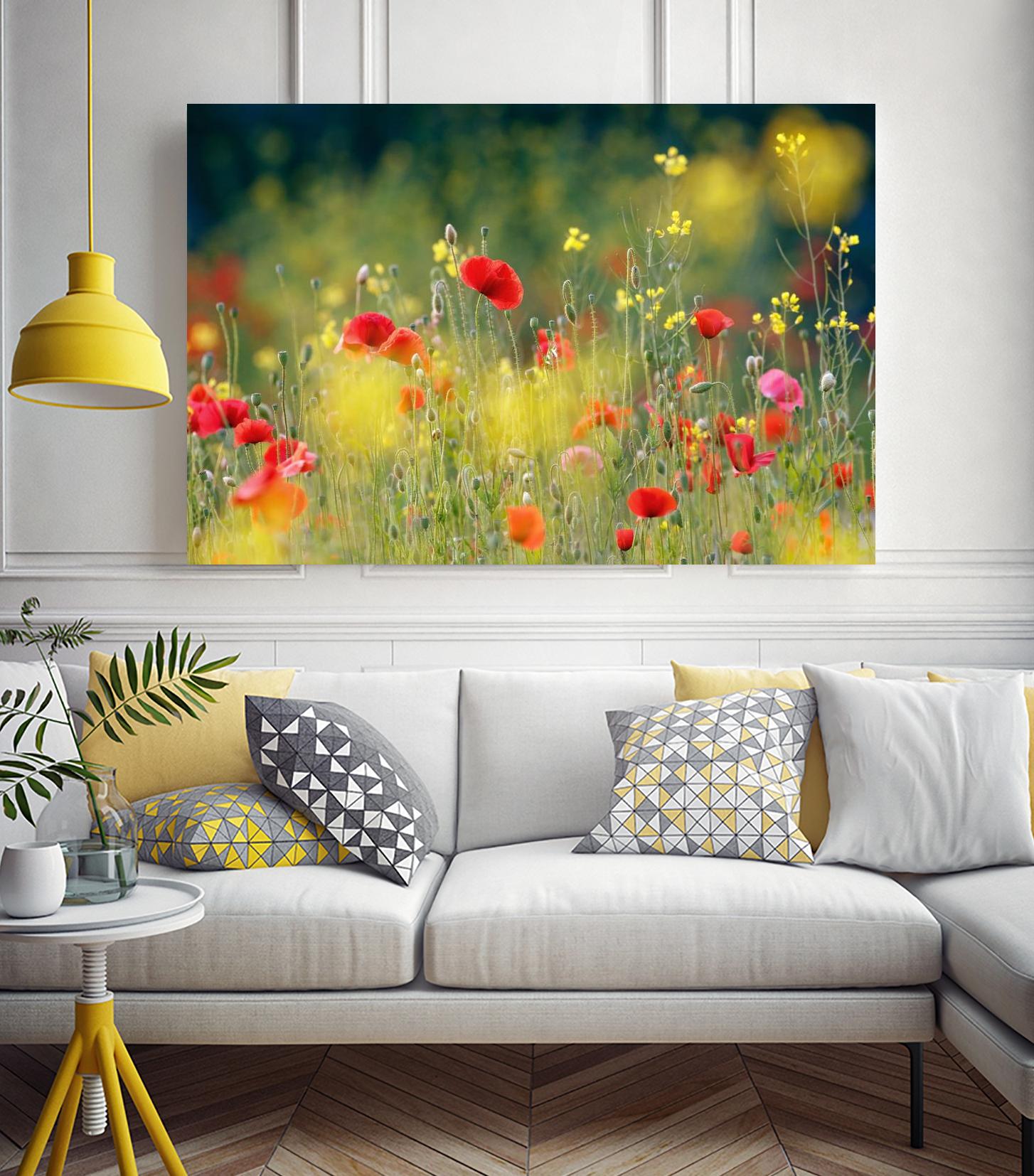 Just a Perfect Day by Roeselien Raimond on GIANT ART - multicolor photography; floral/still life; landscapes