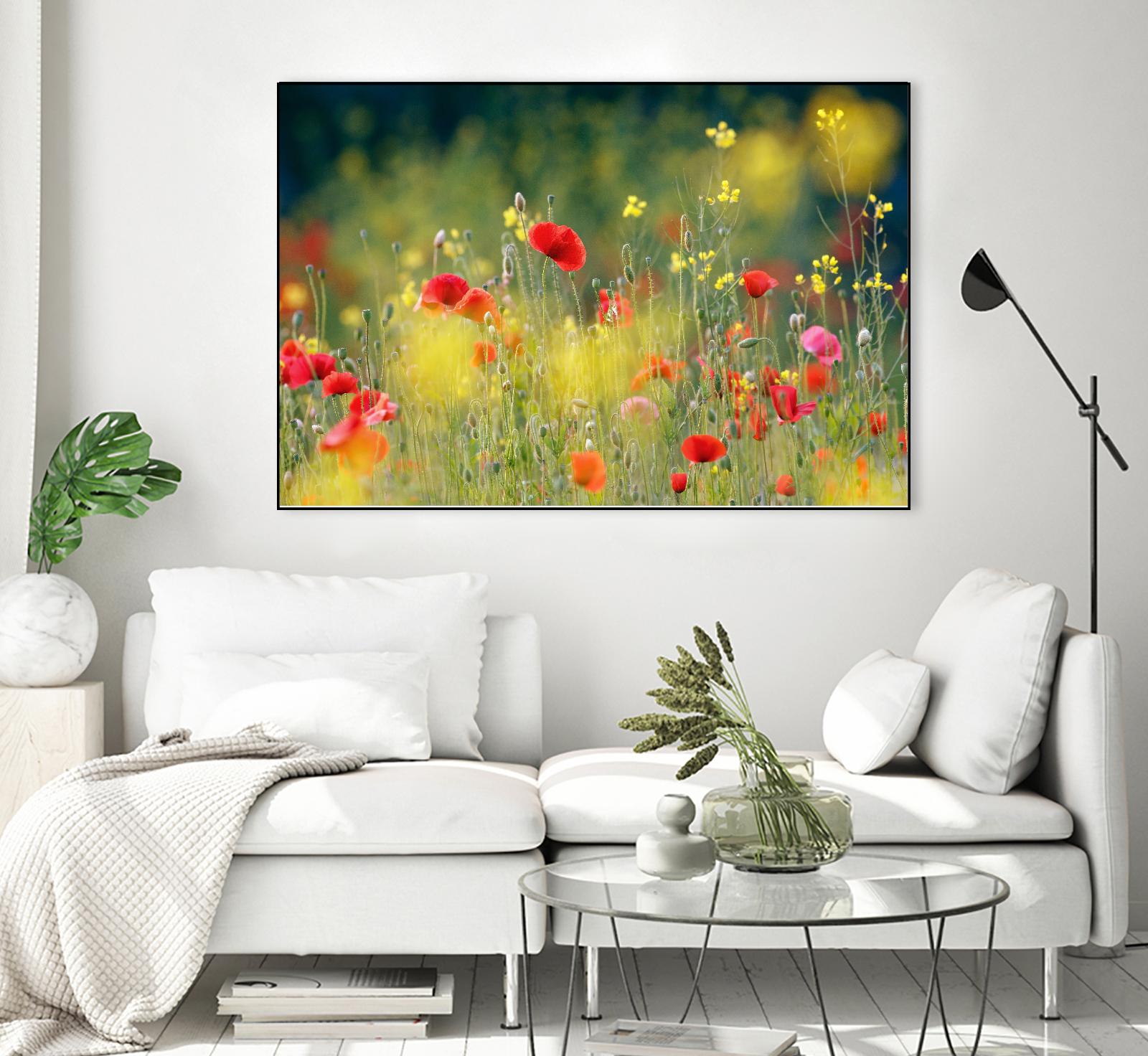 Just a Perfect Day by Roeselien Raimond on GIANT ART - multicolor photography; floral/still life; landscapes