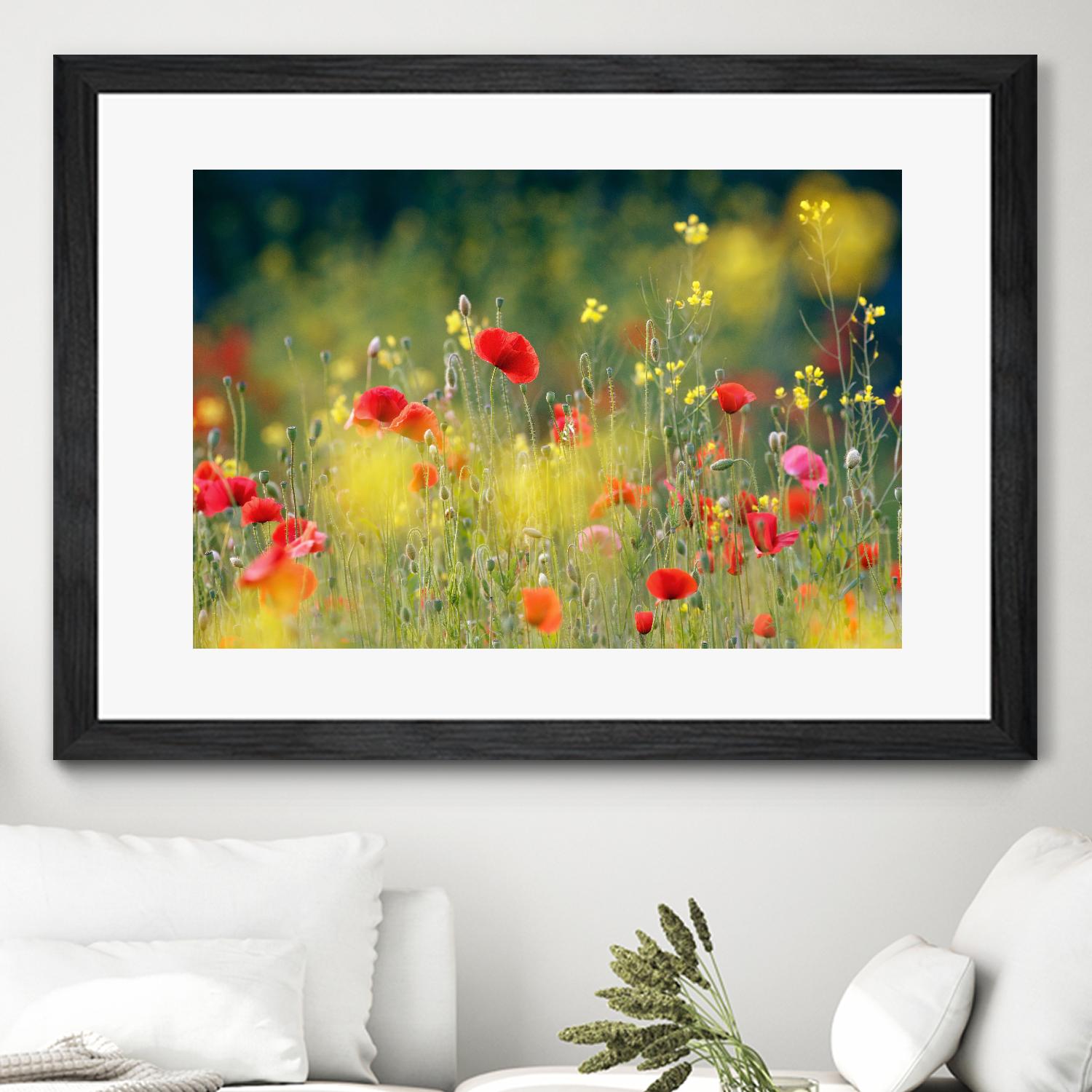 Just a Perfect Day by Roeselien Raimond on GIANT ART - multicolor photography; floral/still life; landscapes