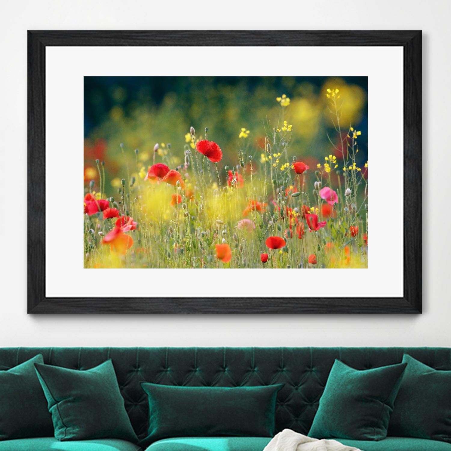 Just a Perfect Day by Roeselien Raimond on GIANT ART - multicolor photography; floral/still life; landscapes