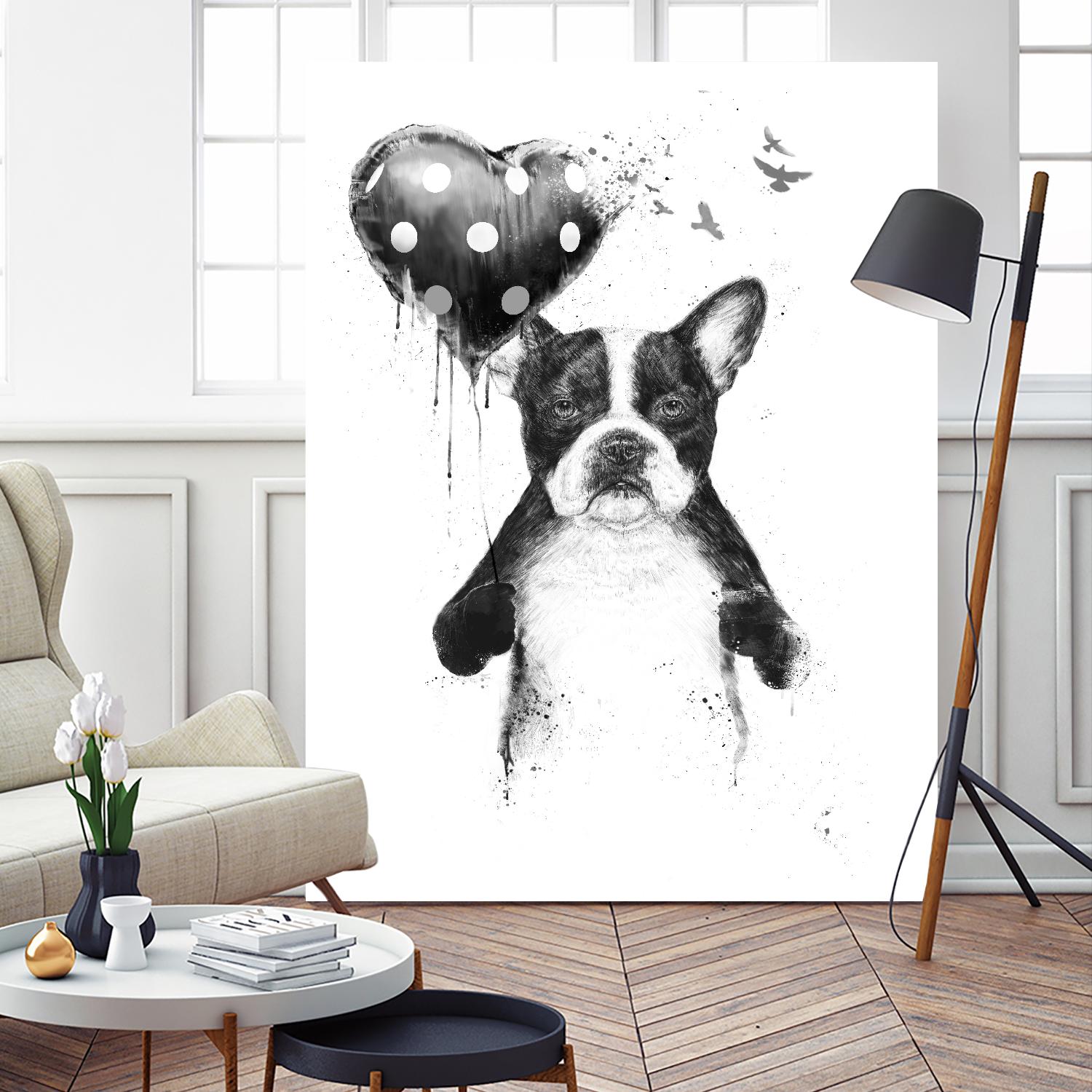 My Heart Goes Boom by Balazs Solti on GIANT ART - white animals