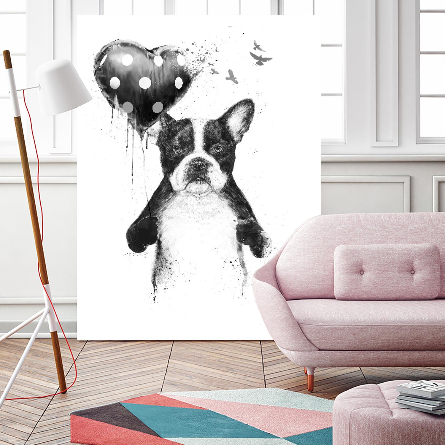 My Heart Goes Boom by Balazs Solti on GIANT ART - white animals