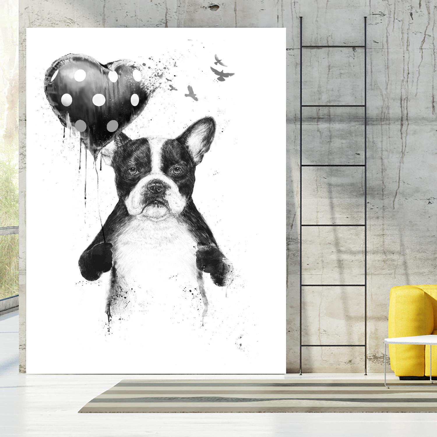 My Heart Goes Boom by Balazs Solti on GIANT ART - white animals