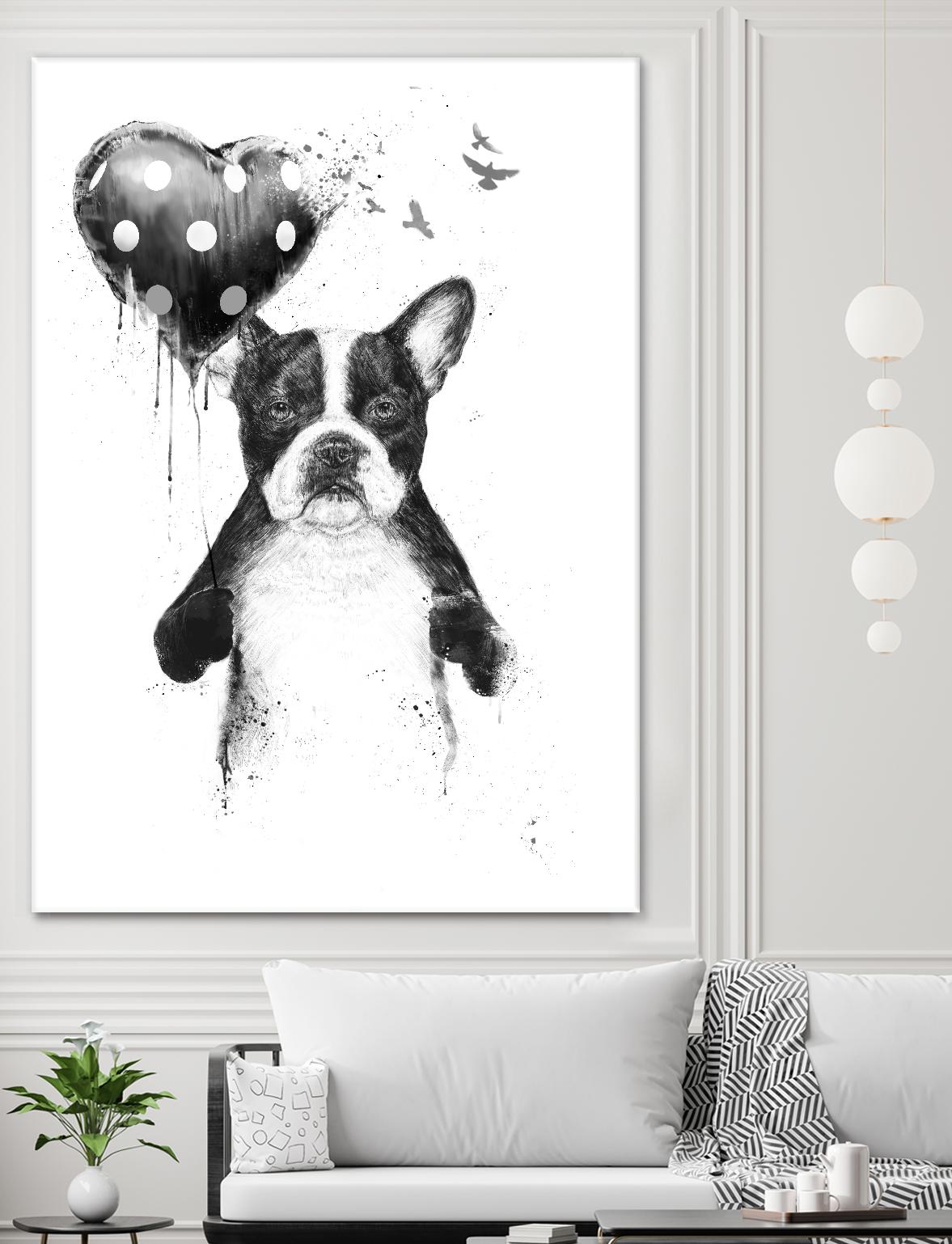 My Heart Goes Boom by Balazs Solti on GIANT ART - white animals