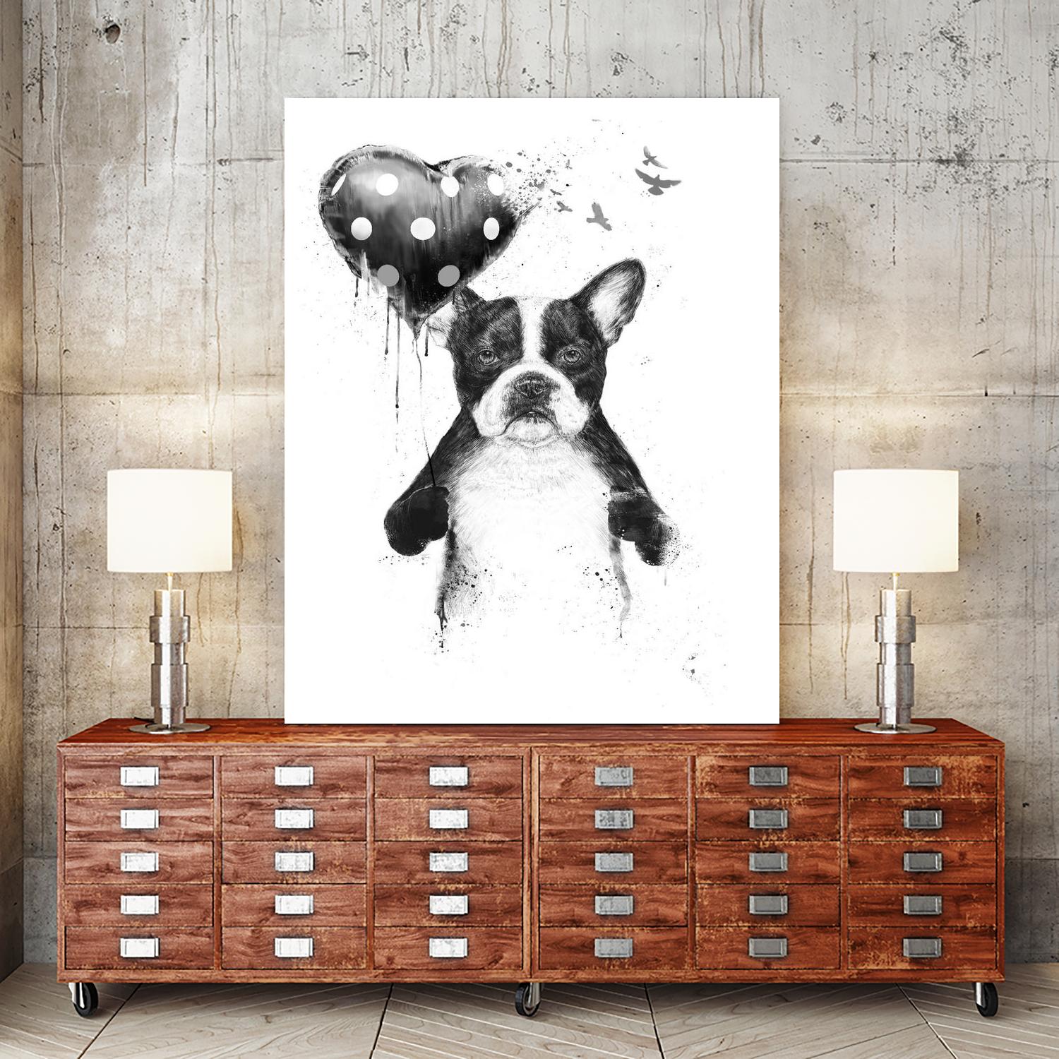 My Heart Goes Boom by Balazs Solti on GIANT ART - white animals