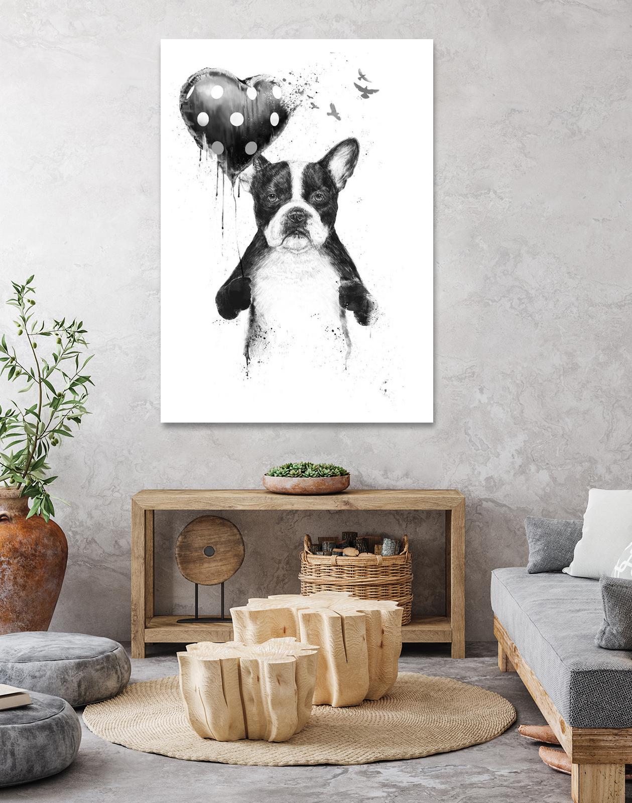 My Heart Goes Boom by Balazs Solti on GIANT ART - white animals