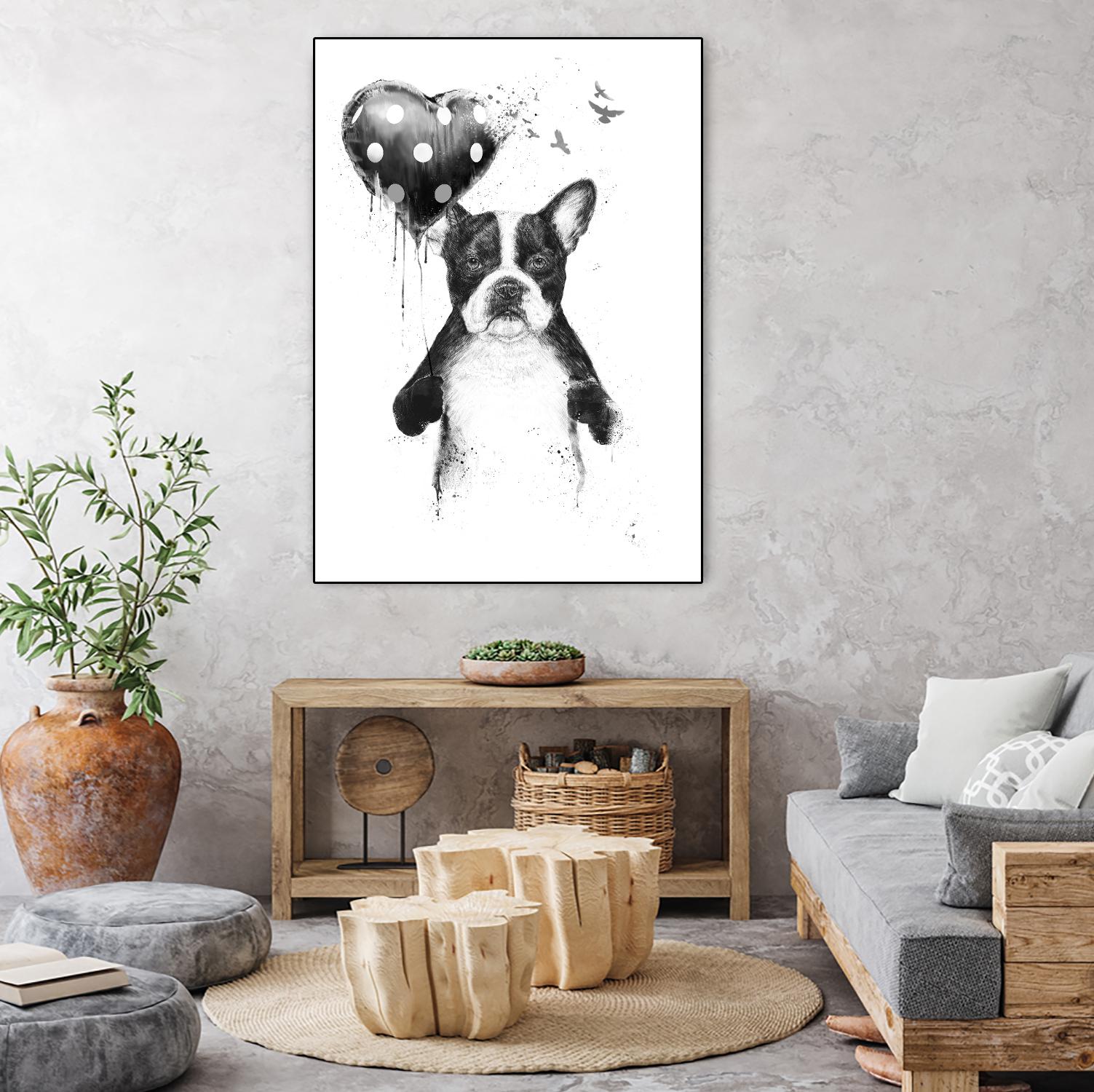 My Heart Goes Boom by Balazs Solti on GIANT ART - white animals