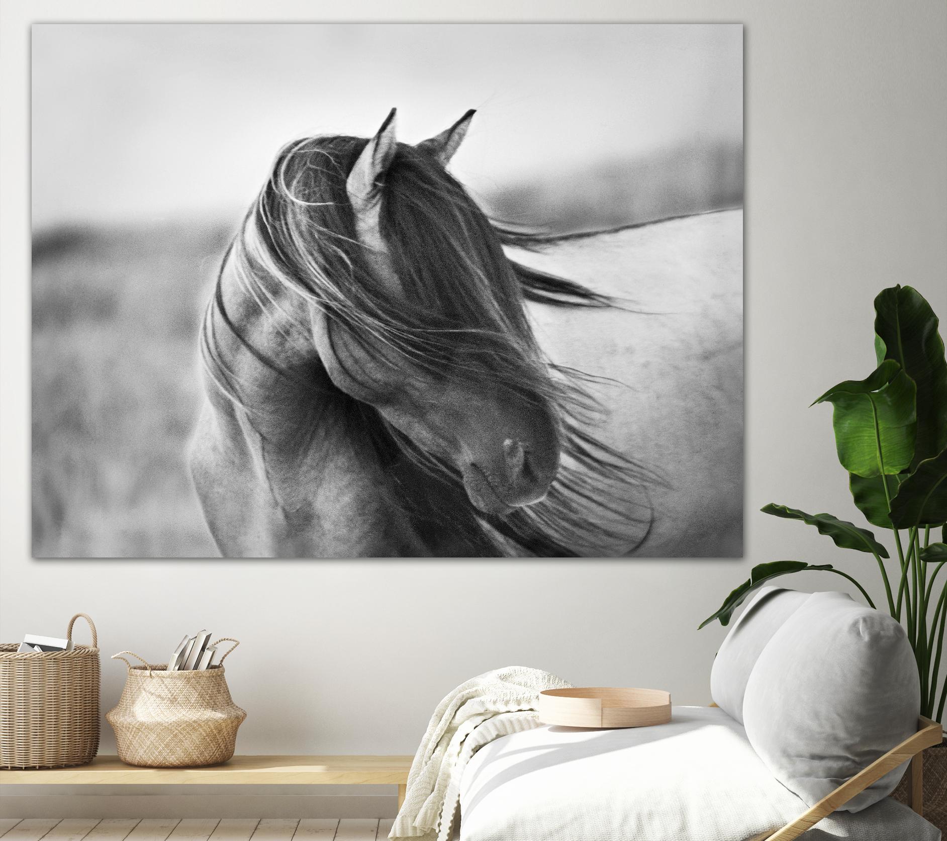 Fierce Grace by Tony Stromberg on GIANT ART - multicolor animals; photography