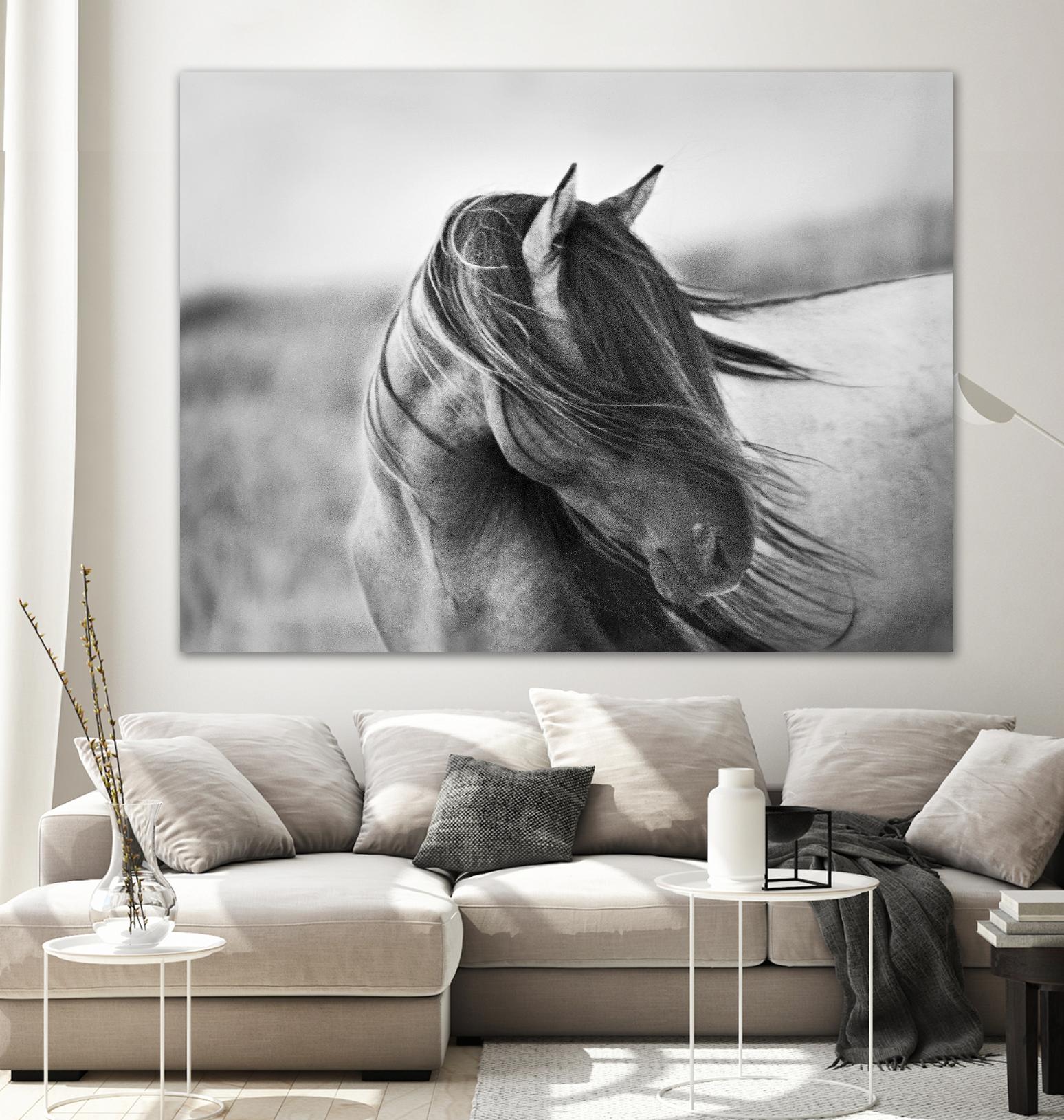 Fierce Grace by Tony Stromberg on GIANT ART - multicolor animals; photography