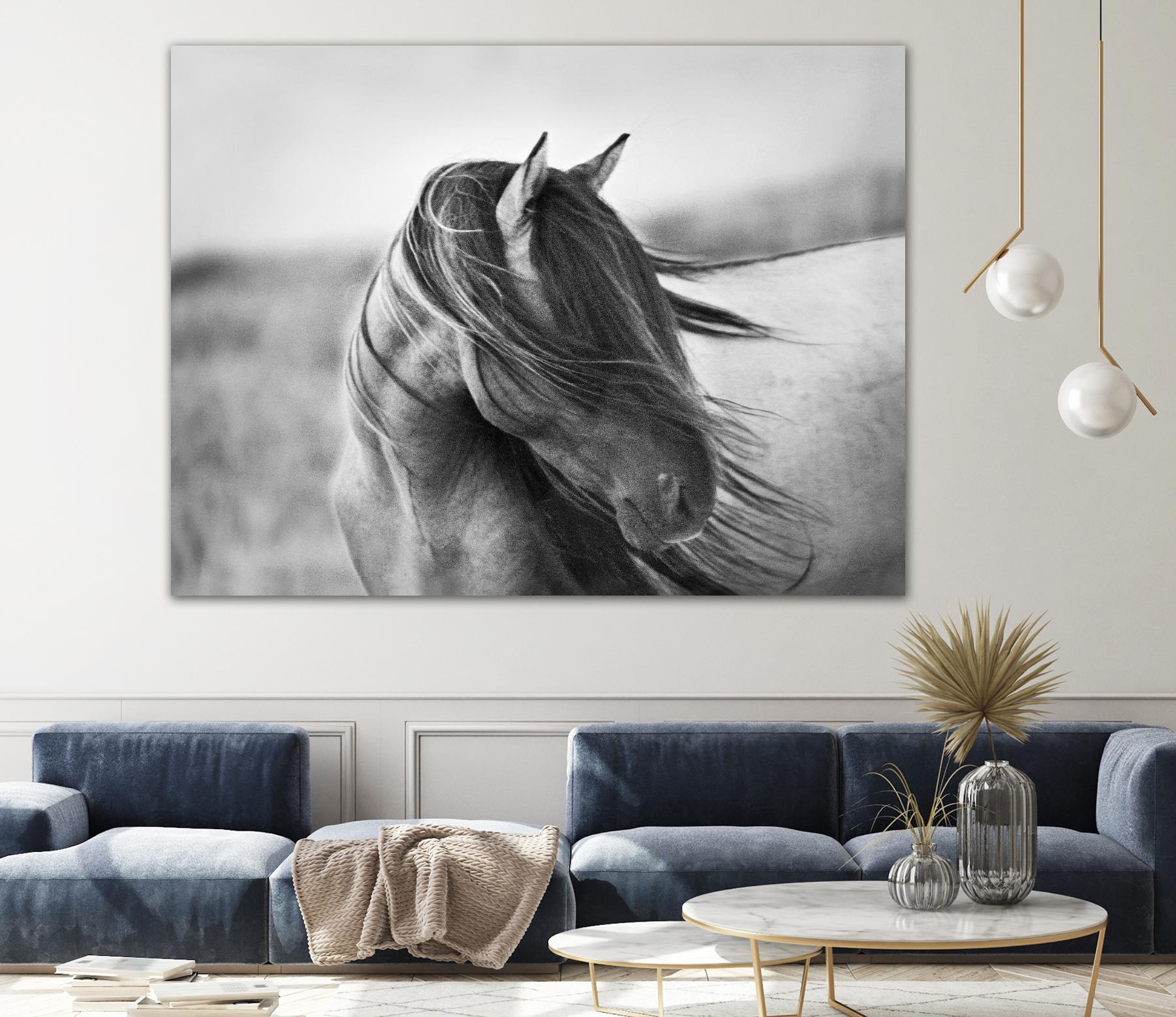 Fierce Grace by Tony Stromberg on GIANT ART - multicolor animals; photography