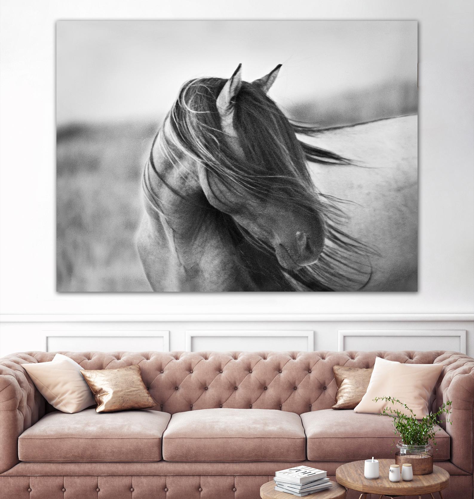 Fierce Grace by Tony Stromberg on GIANT ART - multicolor animals; photography