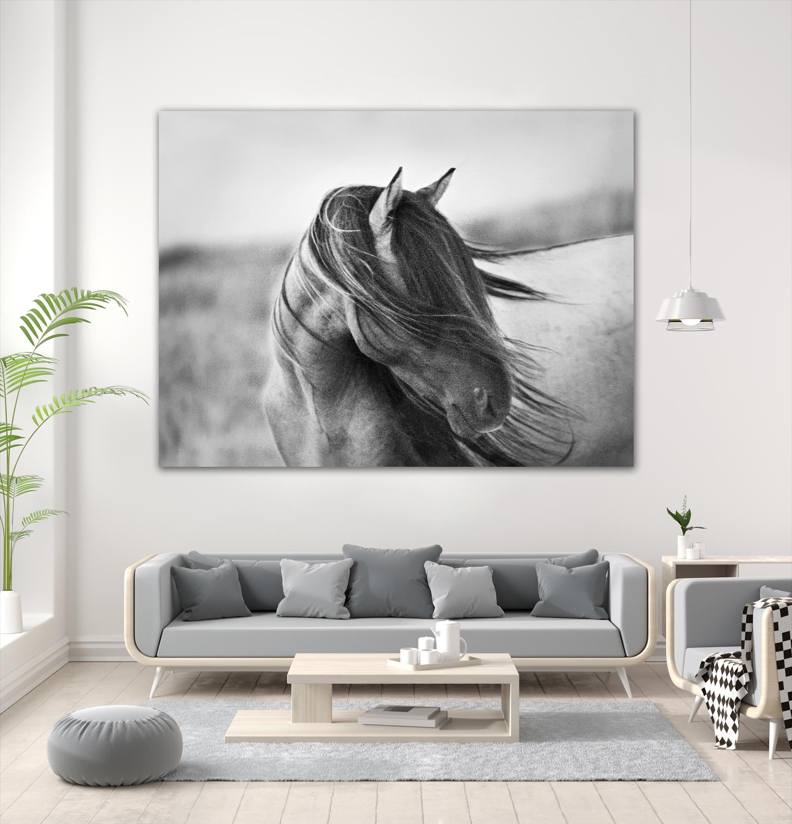 Fierce Grace by Tony Stromberg on GIANT ART - multicolor animals; photography