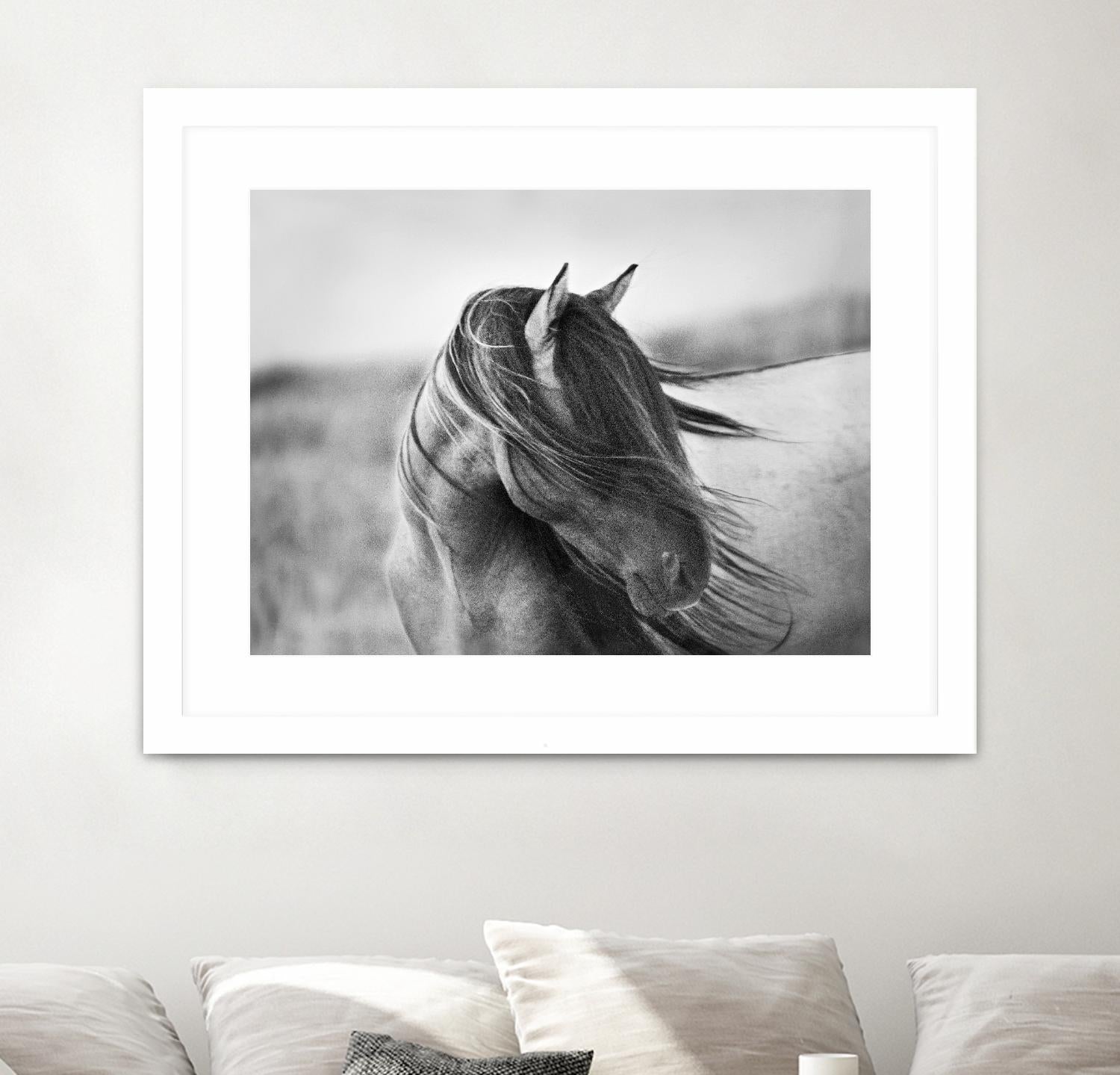 Fierce Grace by Tony Stromberg on GIANT ART - multicolor animals; photography