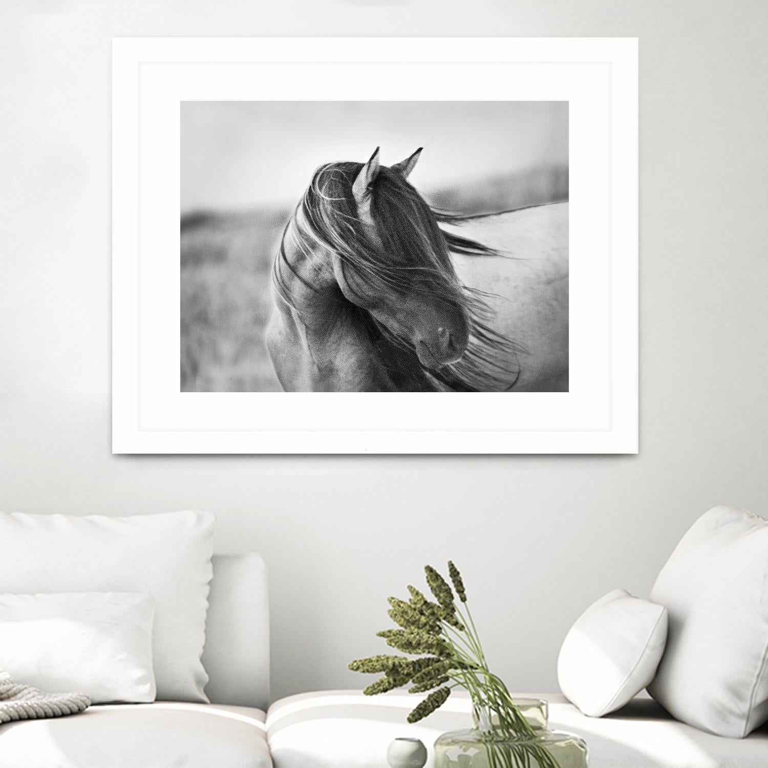 Fierce Grace by Tony Stromberg on GIANT ART - multicolor animals; photography