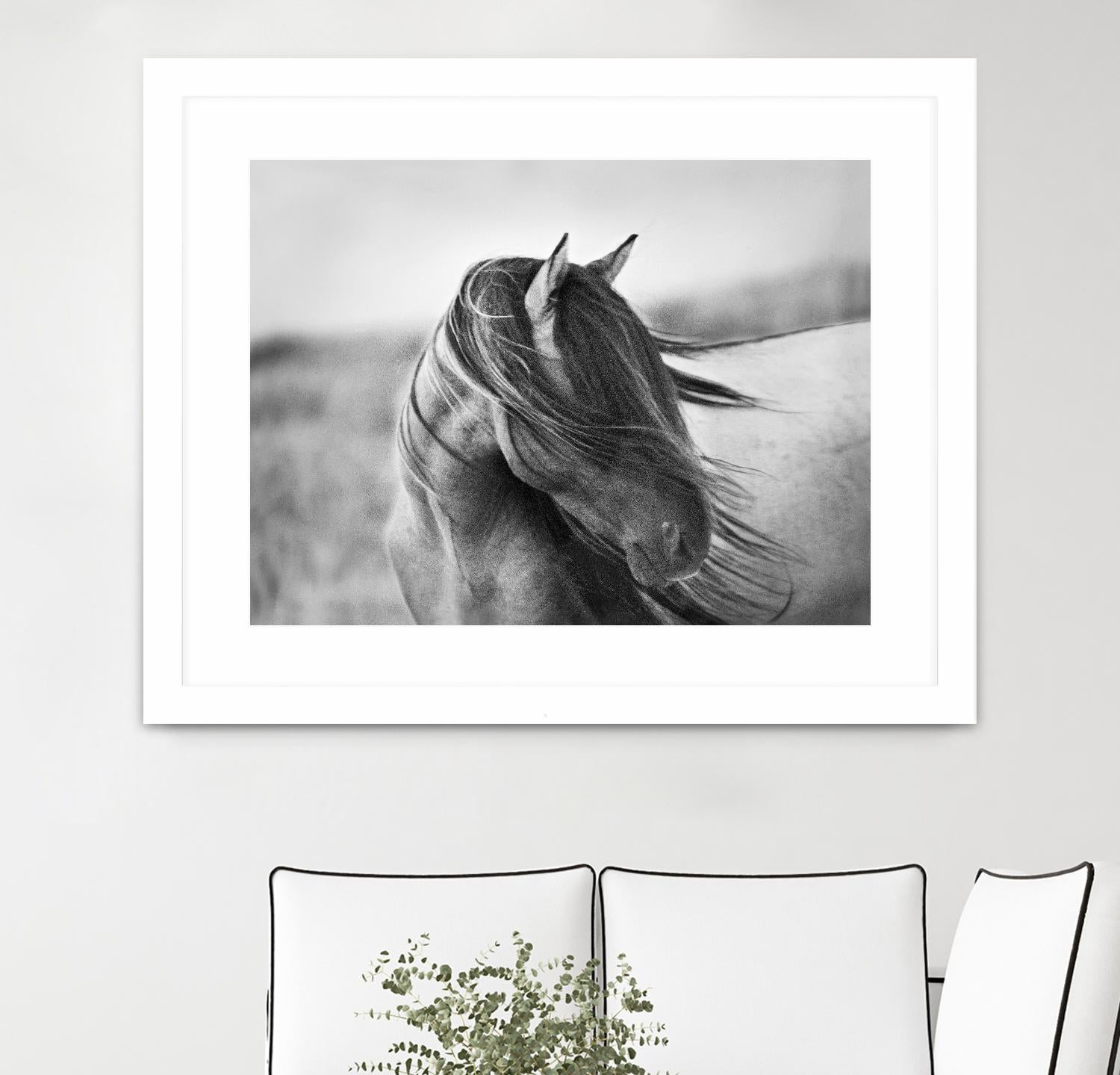 Fierce Grace by Tony Stromberg on GIANT ART - multicolor animals; photography