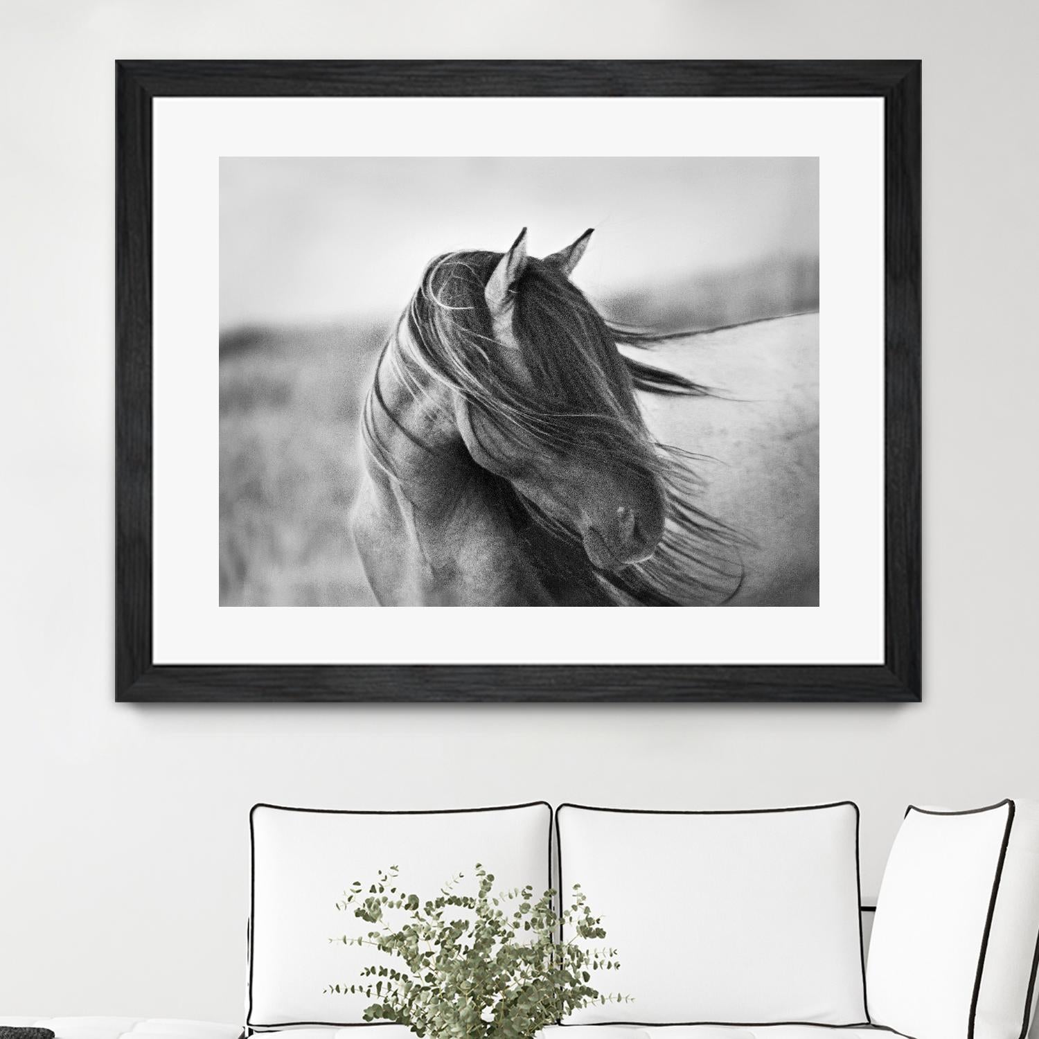 Fierce Grace by Tony Stromberg on GIANT ART - multicolor animals; photography