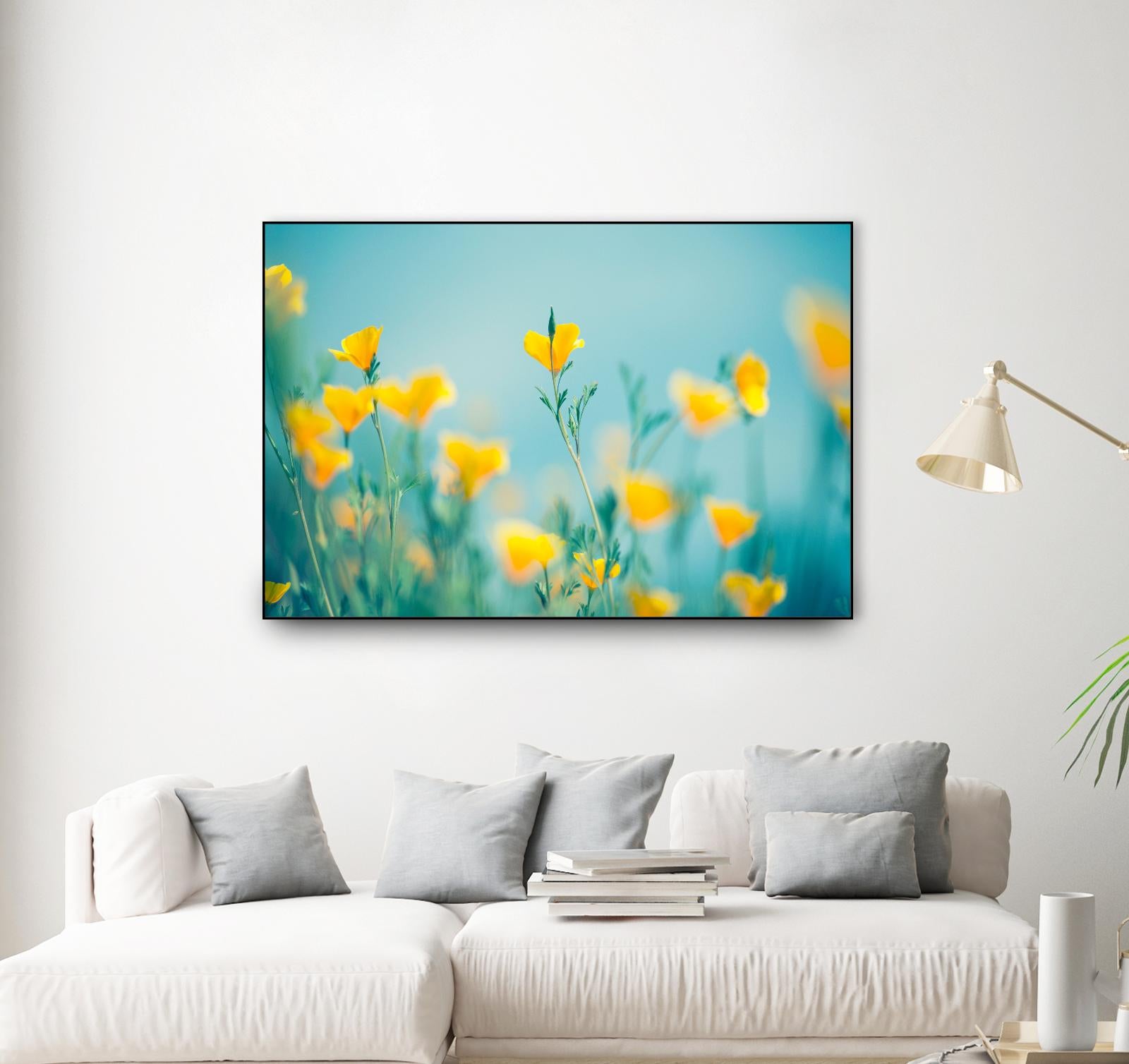 California Dream by Lee Sie on GIANT ART - multicolor photography; floral/still life