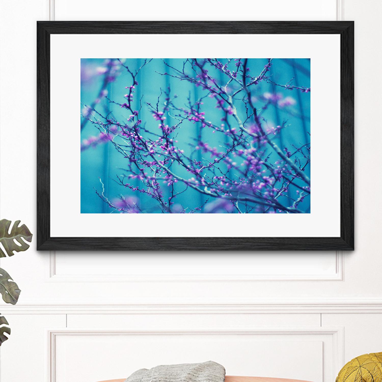 Sacre Bleu by Lee Sie on GIANT ART - multicolor photography; floral/still life