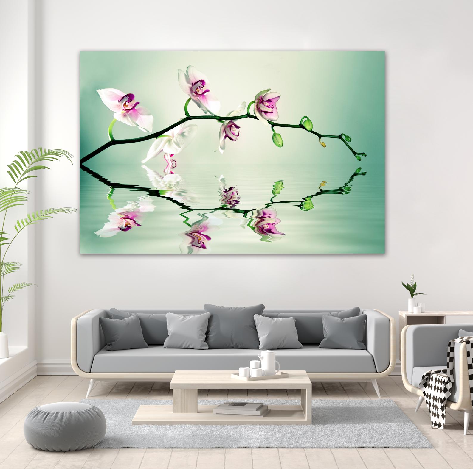 Zen by Lee Sie on GIANT ART - multicolor photography; floral/still life