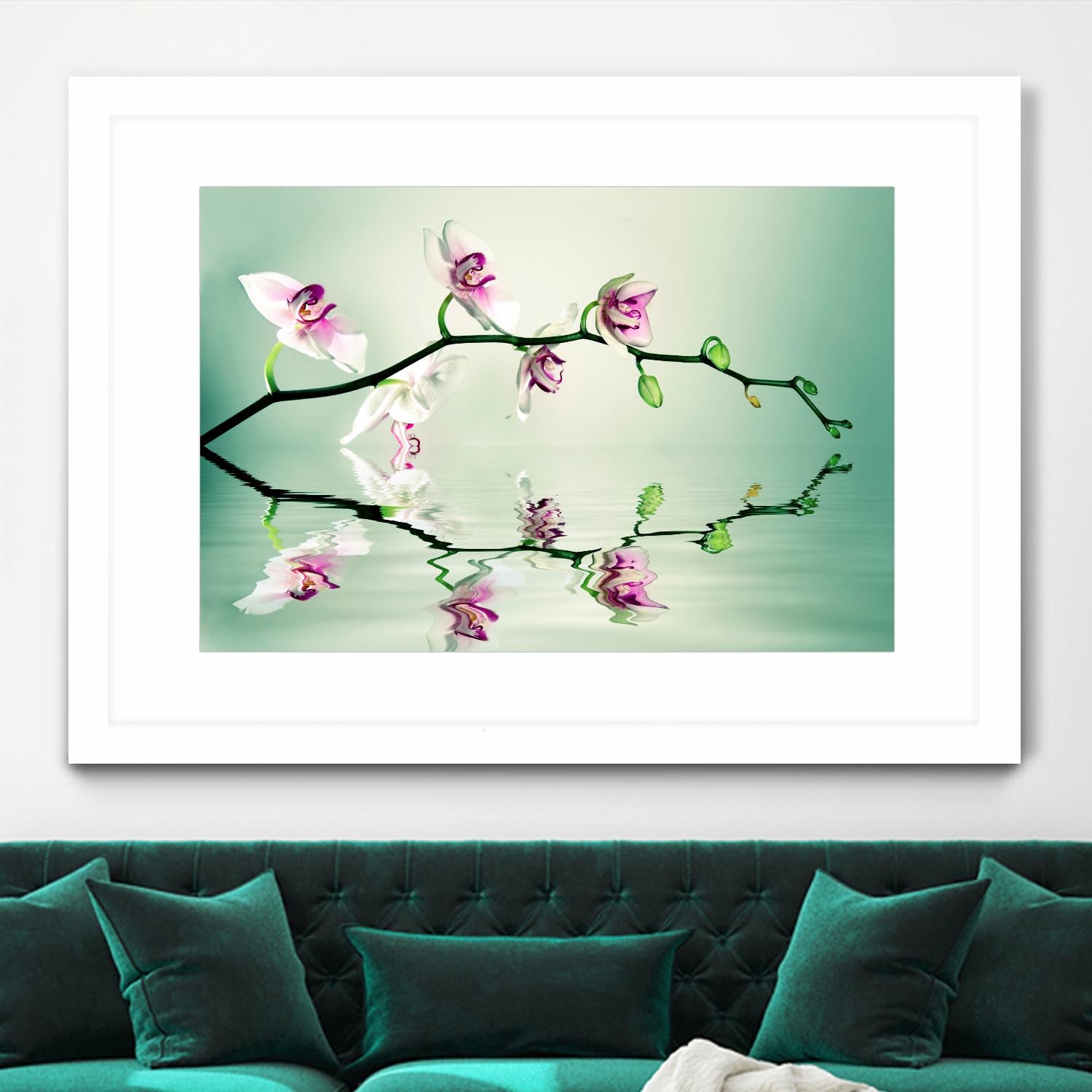 Zen by Lee Sie on GIANT ART - multicolor photography; floral/still life