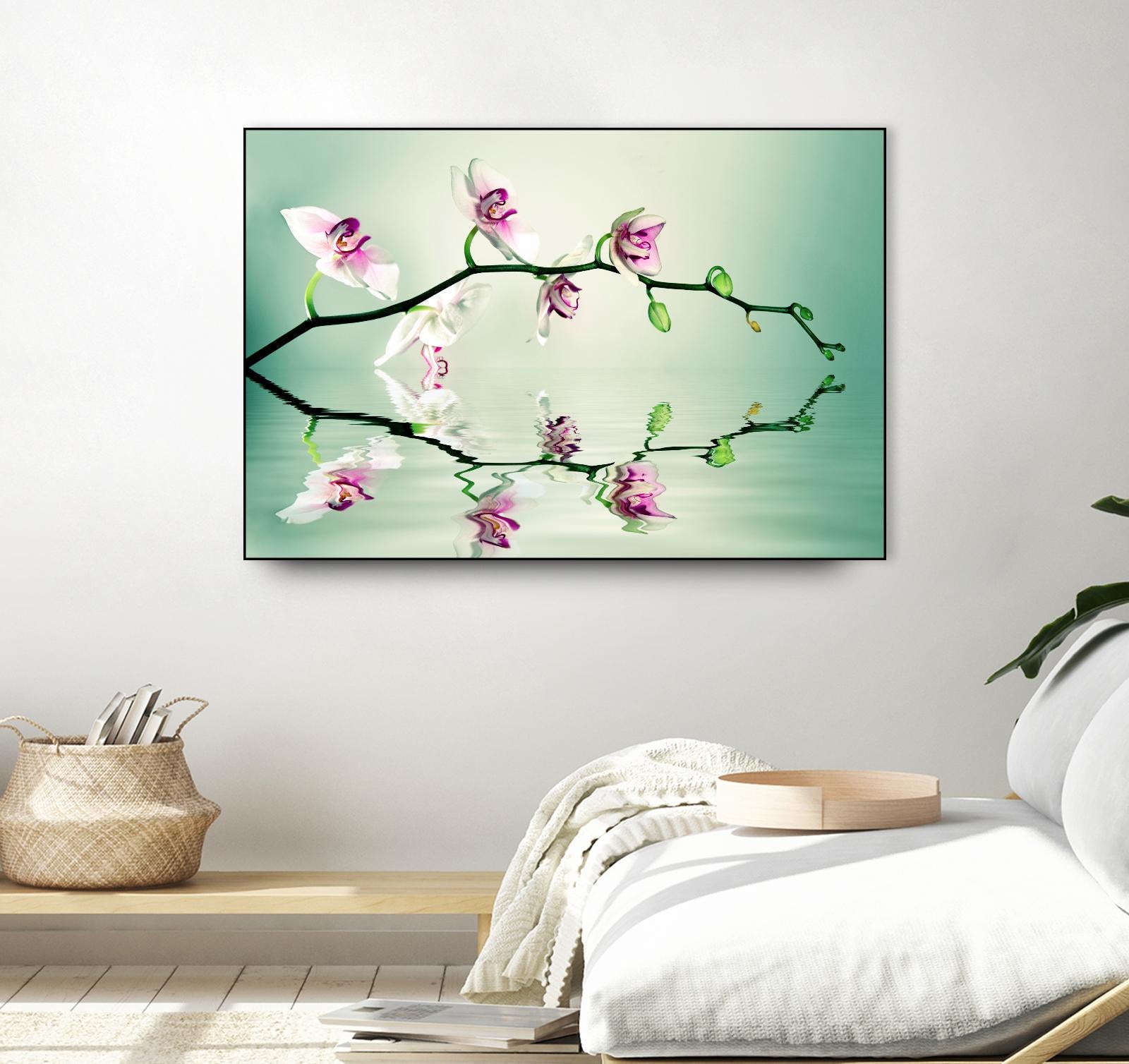 Zen by Lee Sie on GIANT ART - multicolor photography; floral/still life