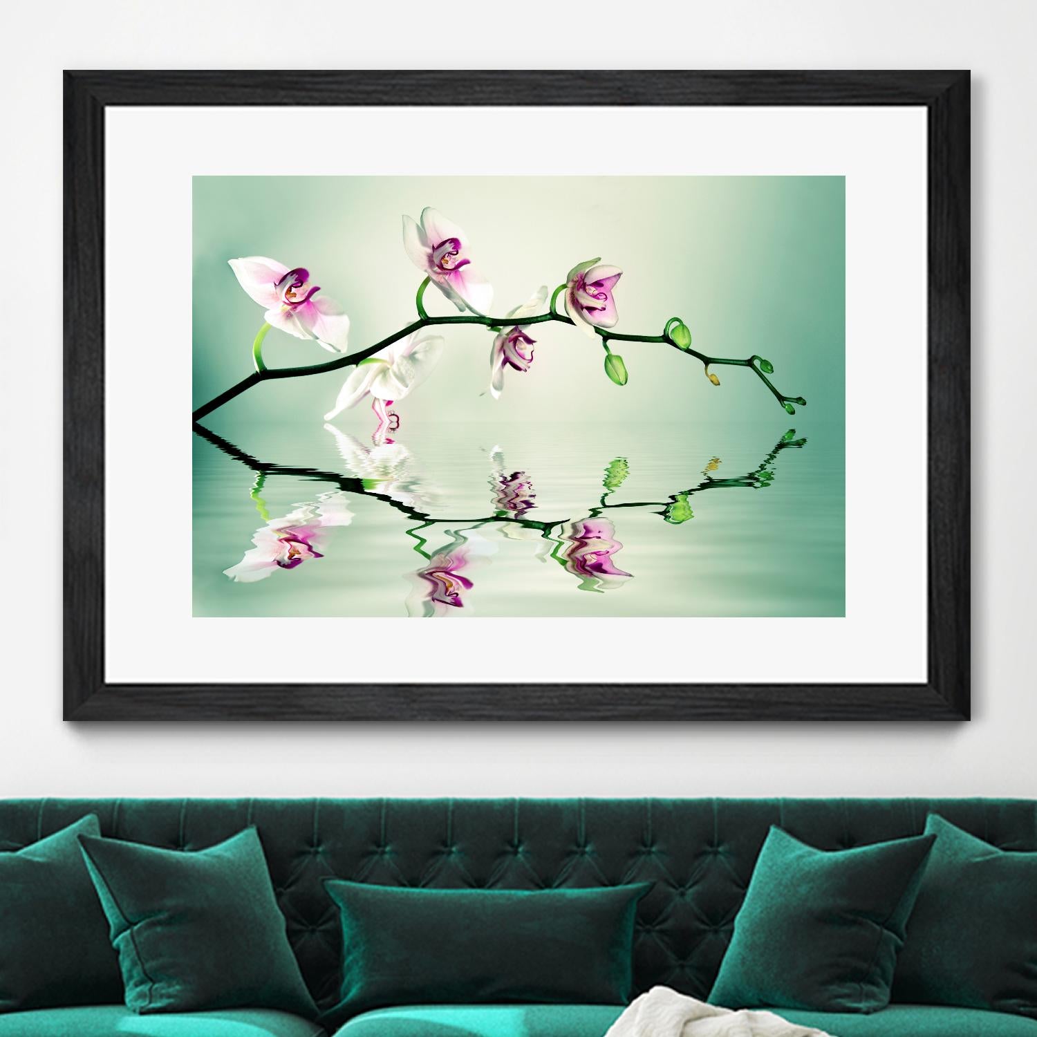 Zen by Lee Sie on GIANT ART - multicolor photography; floral/still life