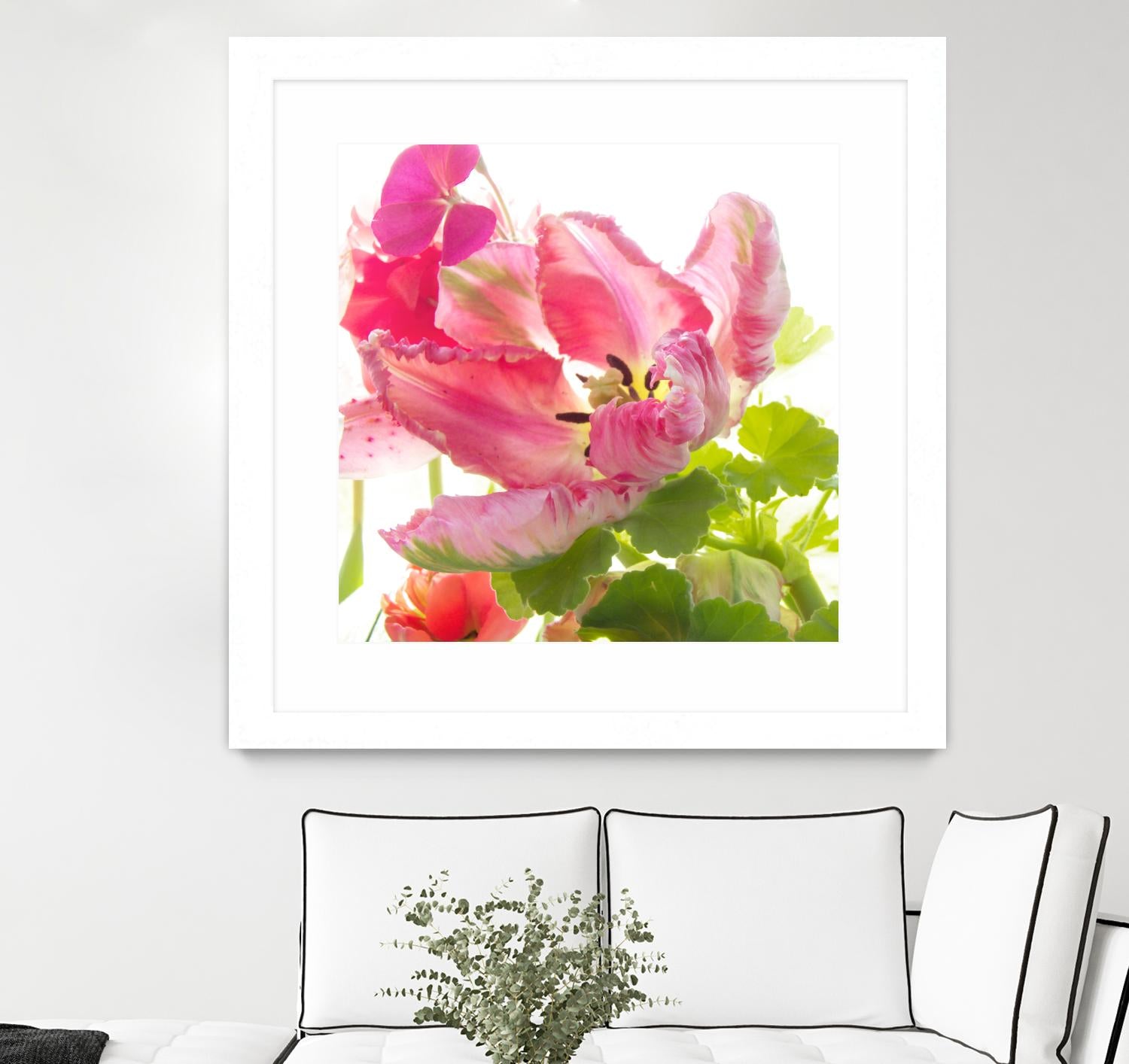 Parrot Tulip One by Judy Stalus on GIANT ART - multicolor photography; floral/still life