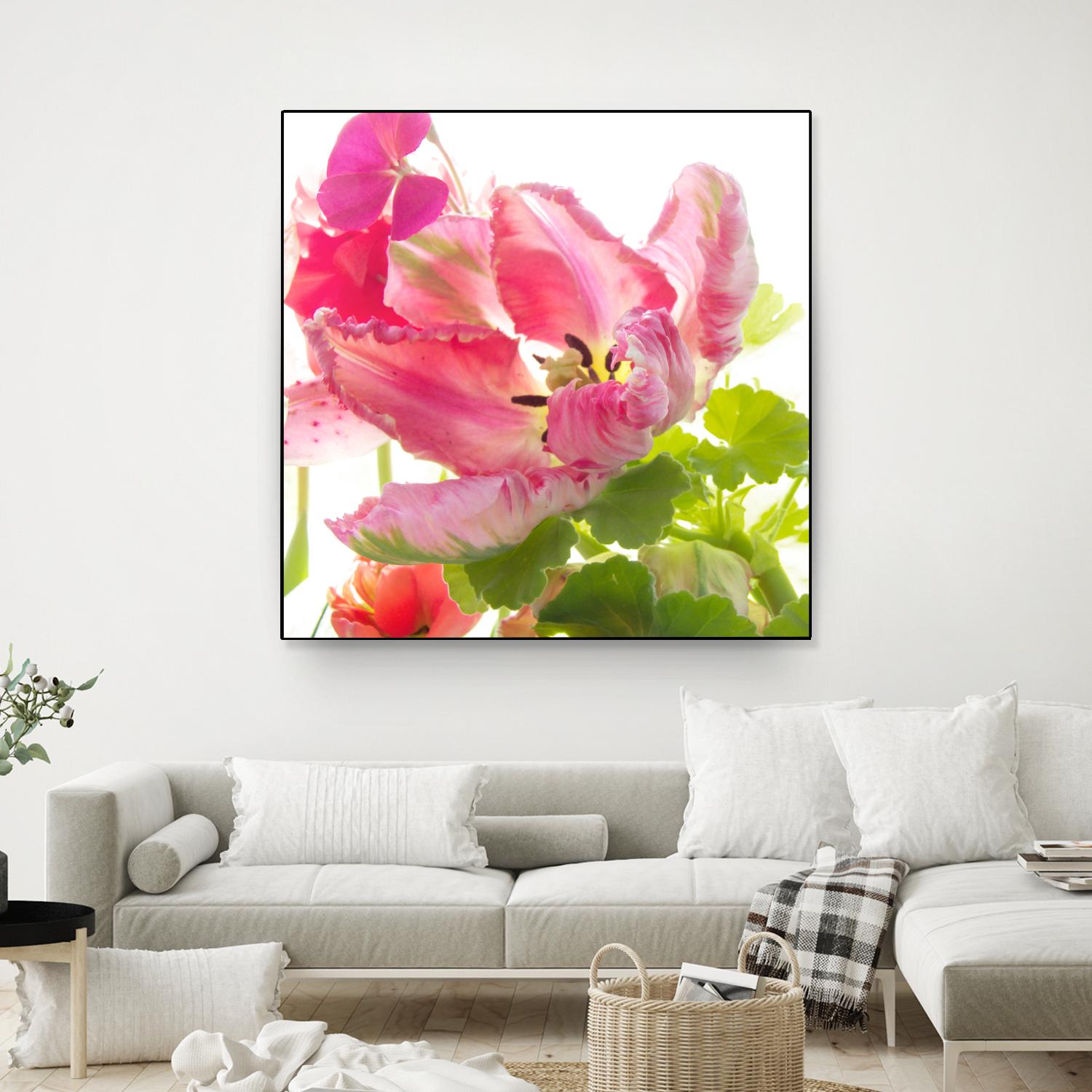 Parrot Tulip One by Judy Stalus on GIANT ART - multicolor photography; floral/still life
