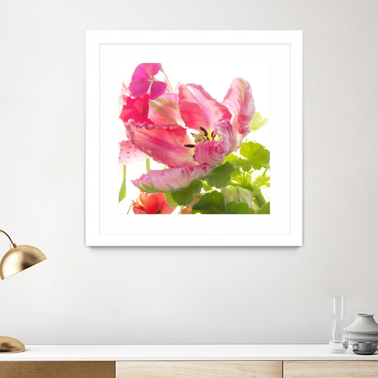 Parrot Tulip One by Judy Stalus on GIANT ART - multicolor photography; floral/still life