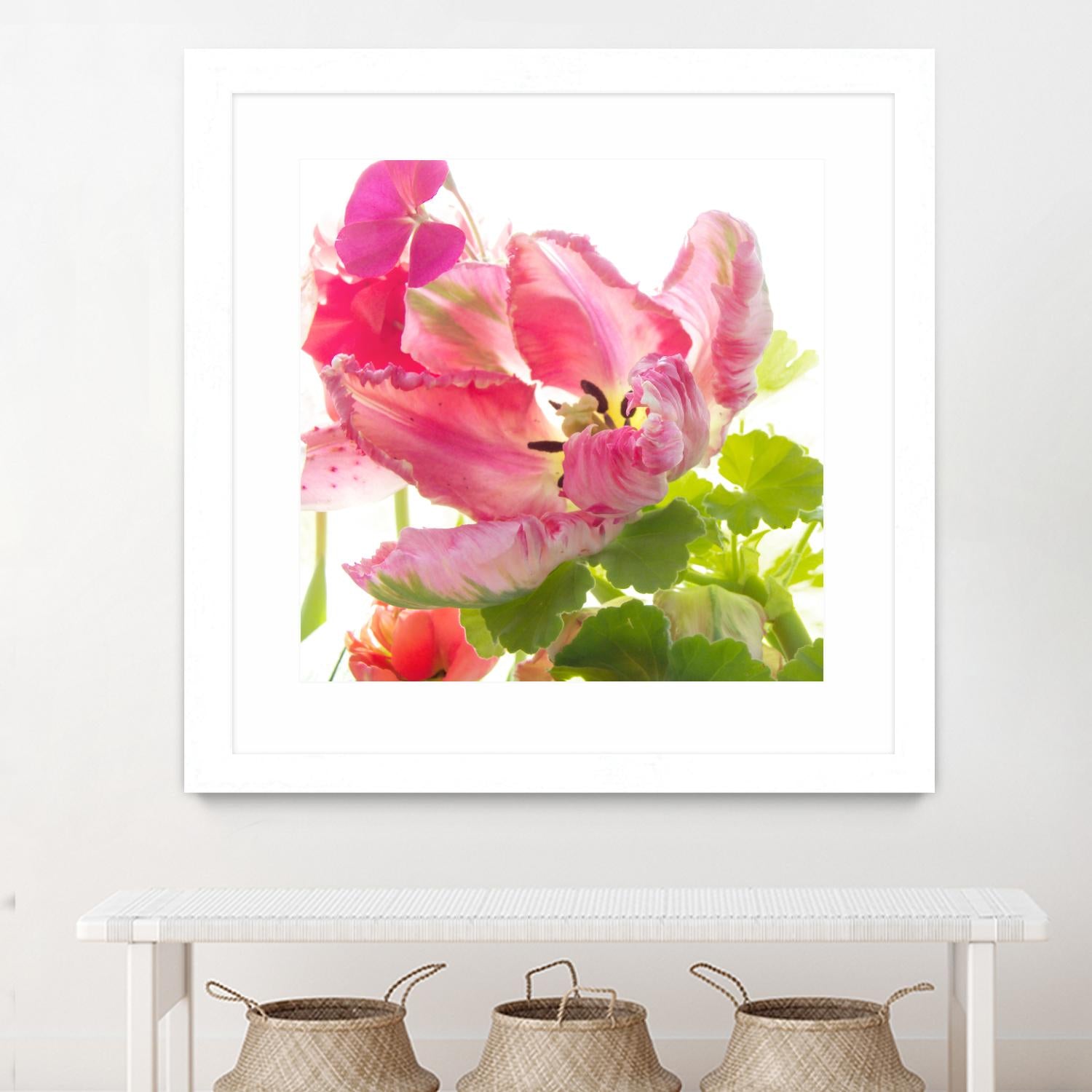 Parrot Tulip One by Judy Stalus on GIANT ART - multicolor photography; floral/still life