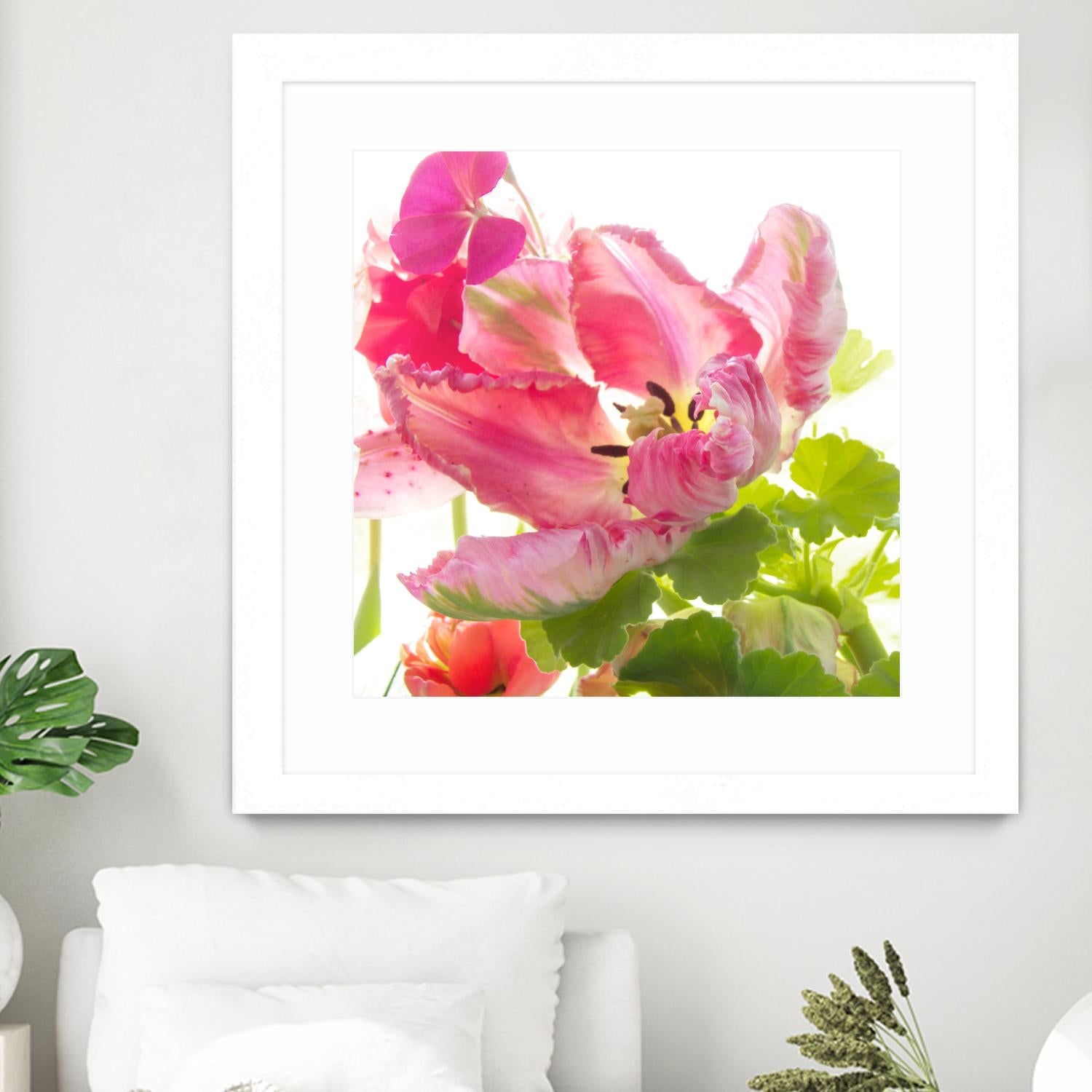 Parrot Tulip One by Judy Stalus on GIANT ART - multicolor photography; floral/still life