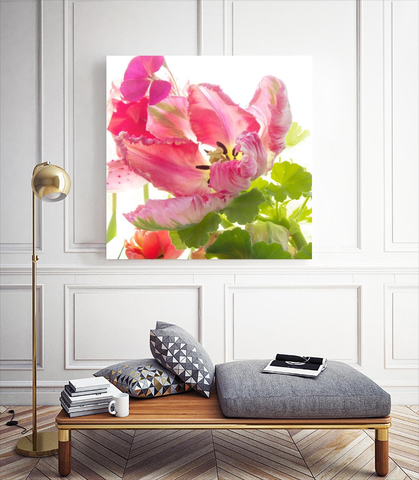 Parrot Tulip One by Judy Stalus on GIANT ART - multicolor photography; floral/still life