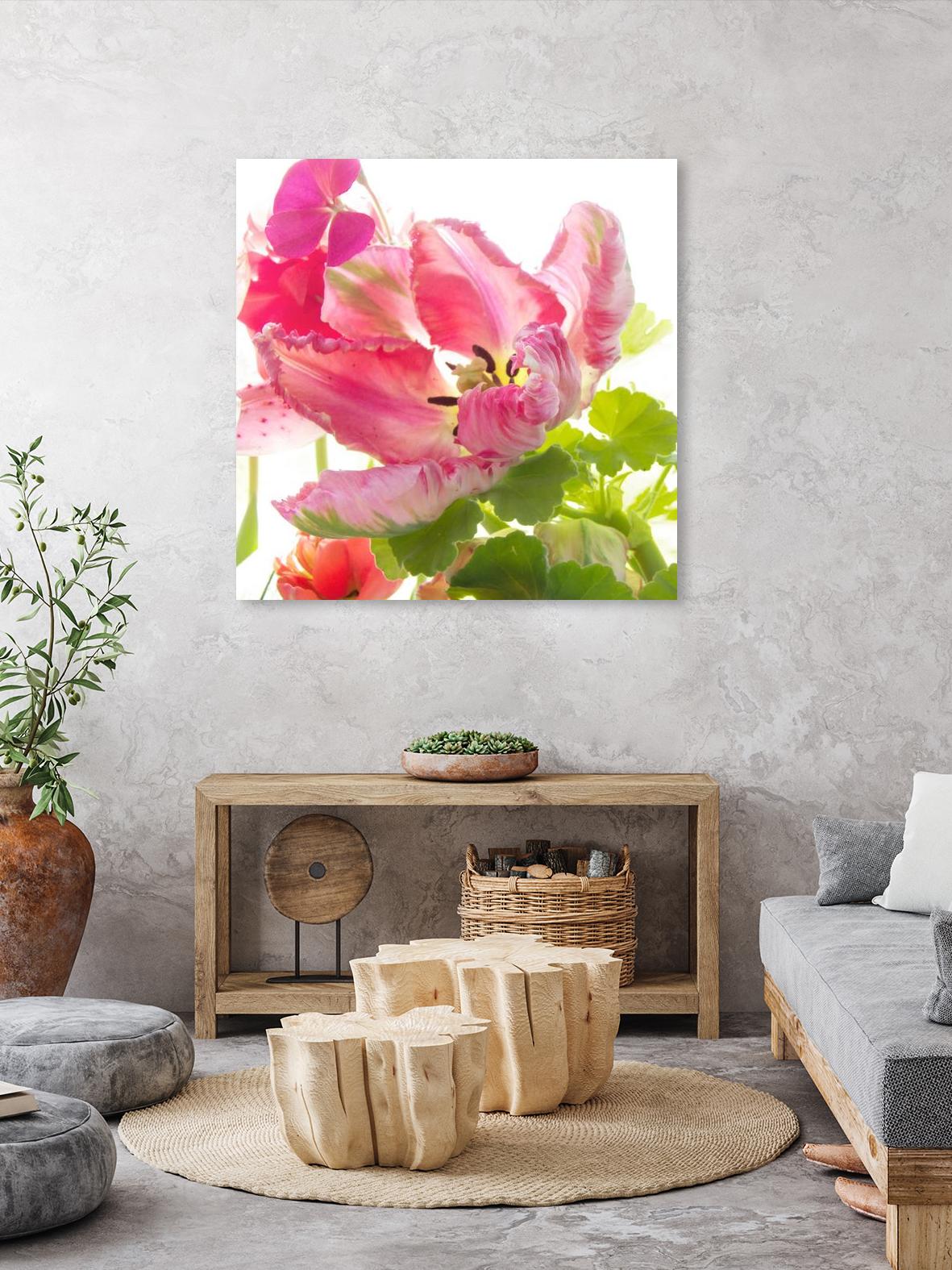 Parrot Tulip One by Judy Stalus on GIANT ART - multicolor photography; floral/still life