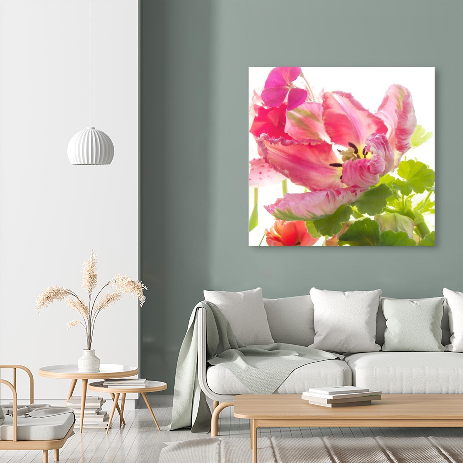 Parrot Tulip One by Judy Stalus on GIANT ART - multicolor photography; floral/still life