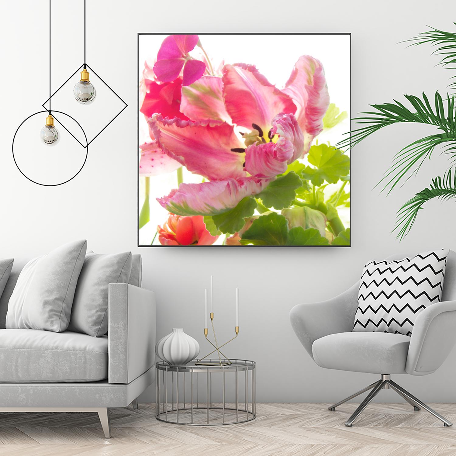 Parrot Tulip One by Judy Stalus on GIANT ART - multicolor photography; floral/still life