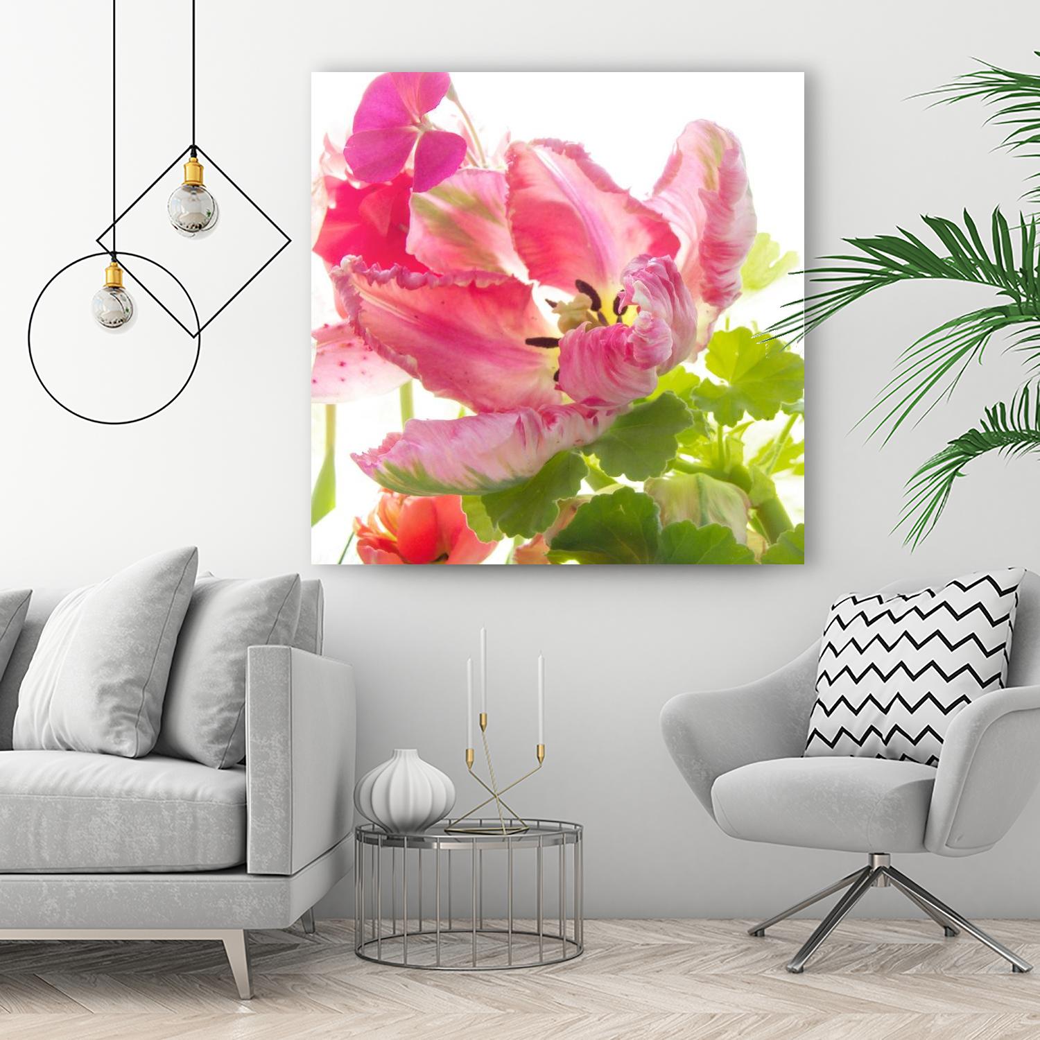 Parrot Tulip One by Judy Stalus on GIANT ART - multicolor photography; floral/still life