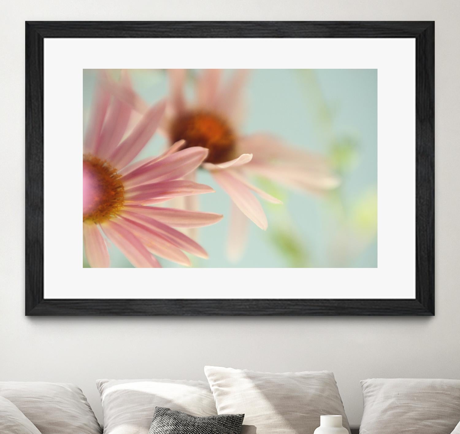 Daisy Days by Judy Stalus on GIANT ART - multicolor photography; floral/still life