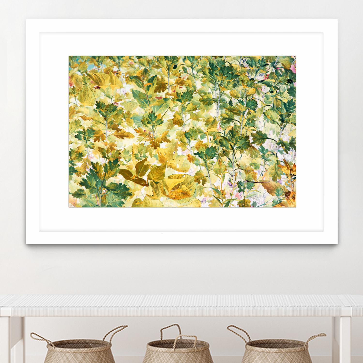 Autumn Tapestry by Judy Stalus on GIANT ART - multicolor photography; floral/still life; contemporary